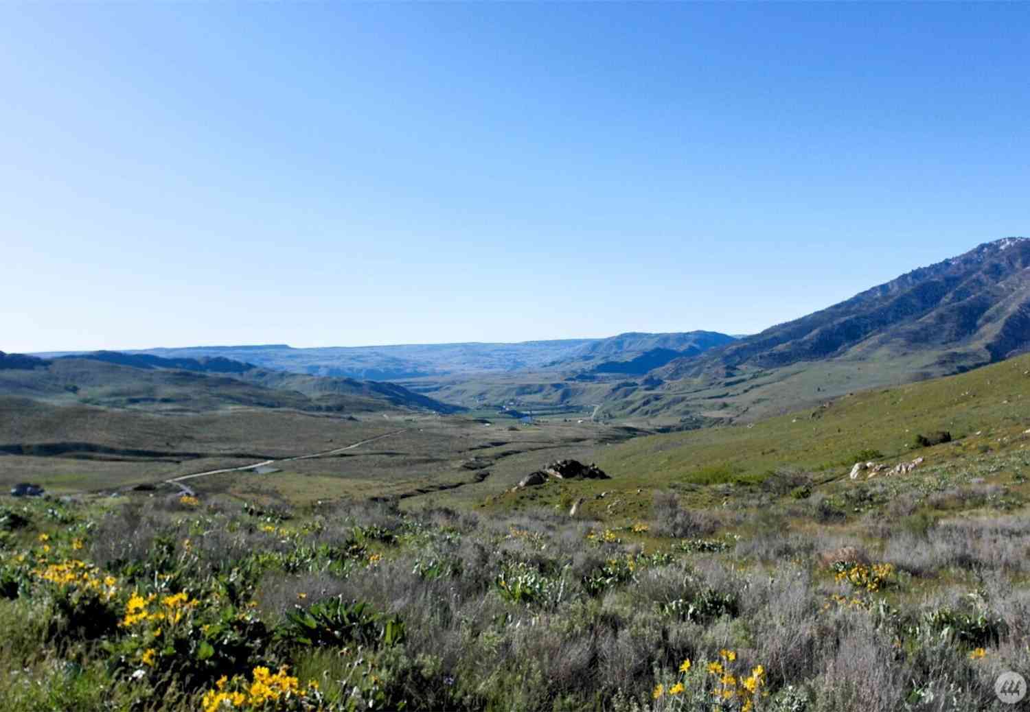 Vacant Land For Sale - 31 Cowboy Road<br/> Methow, WA 98834
