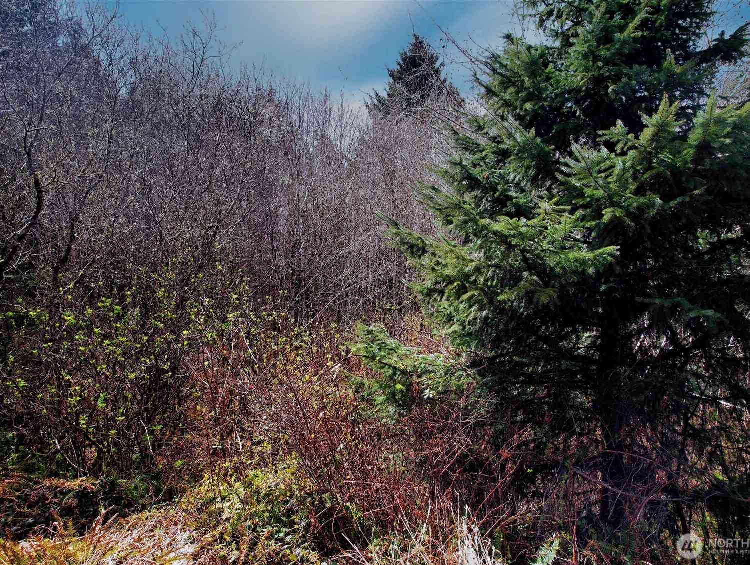 Vacant Land For Sale - 31 Ocean Beach Road<br/> Pacific Beach, WA 98571