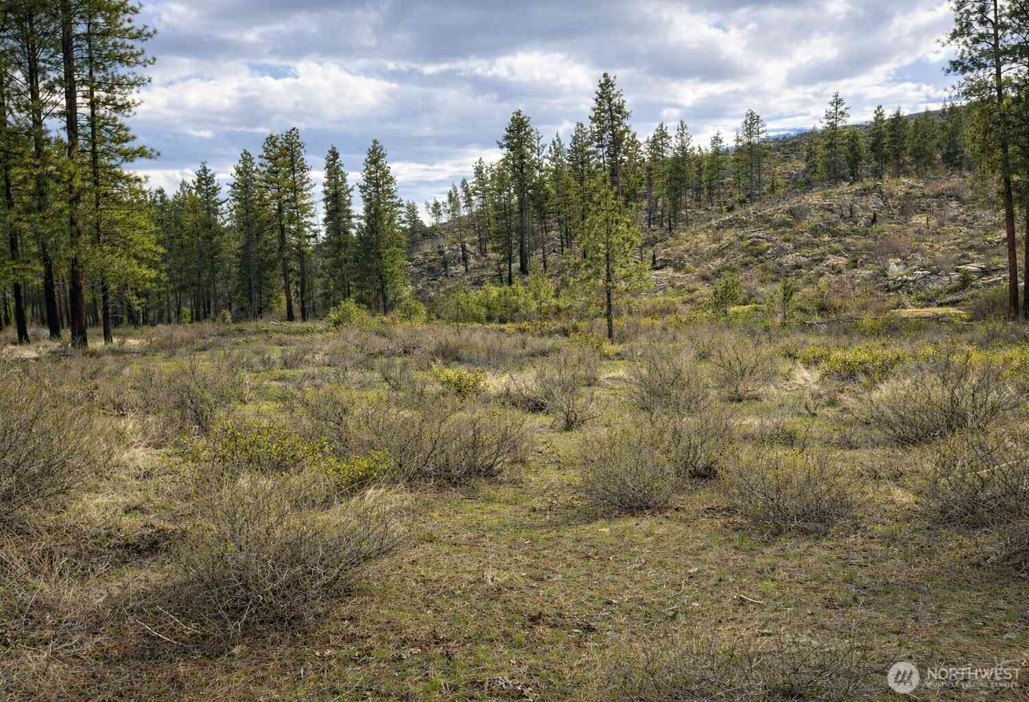 Vacant Land For Sale - 1 N Cook Mt Road<br/> Okanogan, WA 98840