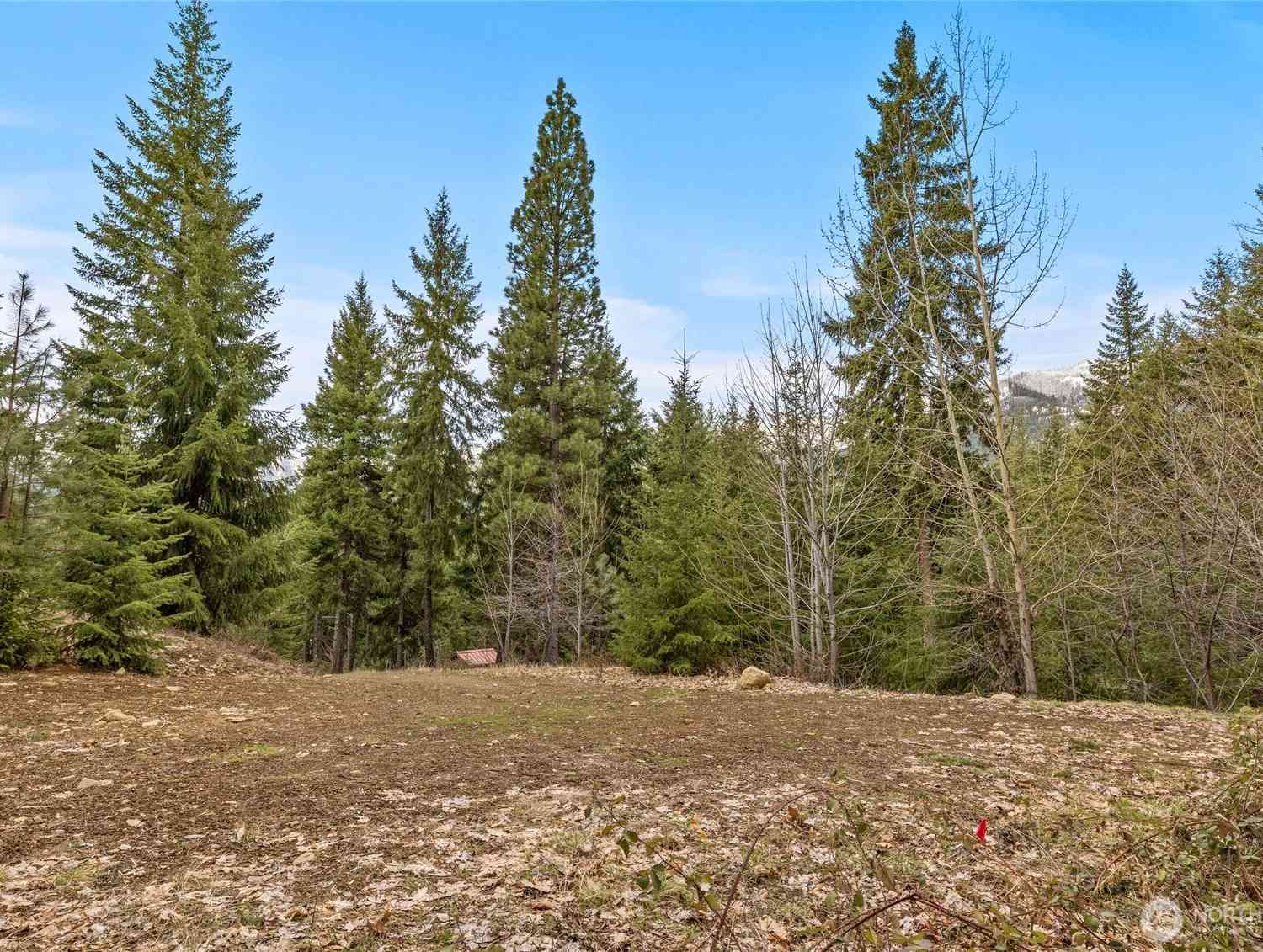 Vacant Land For Sale - 33 Lakeside Court<br/> Kittitas County, Ronald, WA 98940