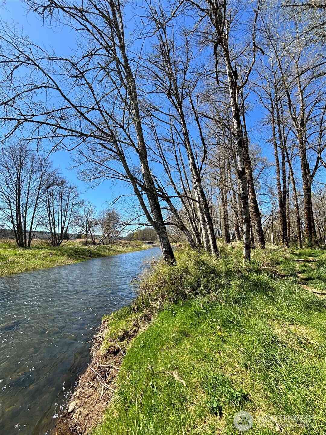 Vacant Land For Sale - 1554 State Route 508<br/> Onalaska, WA 98570