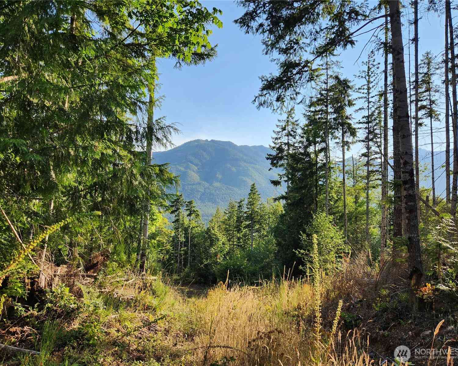 Vacant Land For Sale - Rocky Brook Rd #LOT I<br/> Brinnon, WA 98320