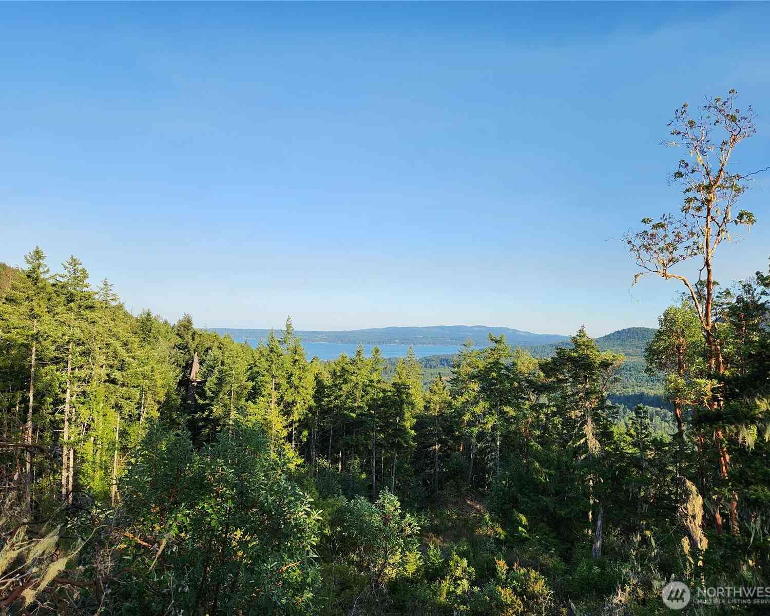 Vacant Land For Sale - Rocky Brook Road #LOT J<br/> Brinnon, WA 98320