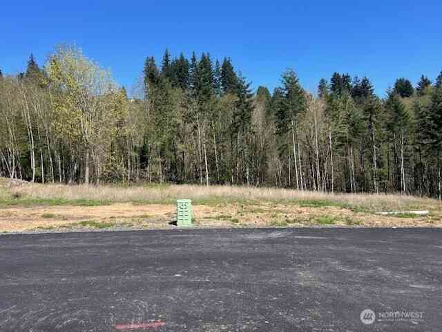 Vacant Land For Sale - 260 Livingston Heights Drive<br/> Longview, WA 98632
