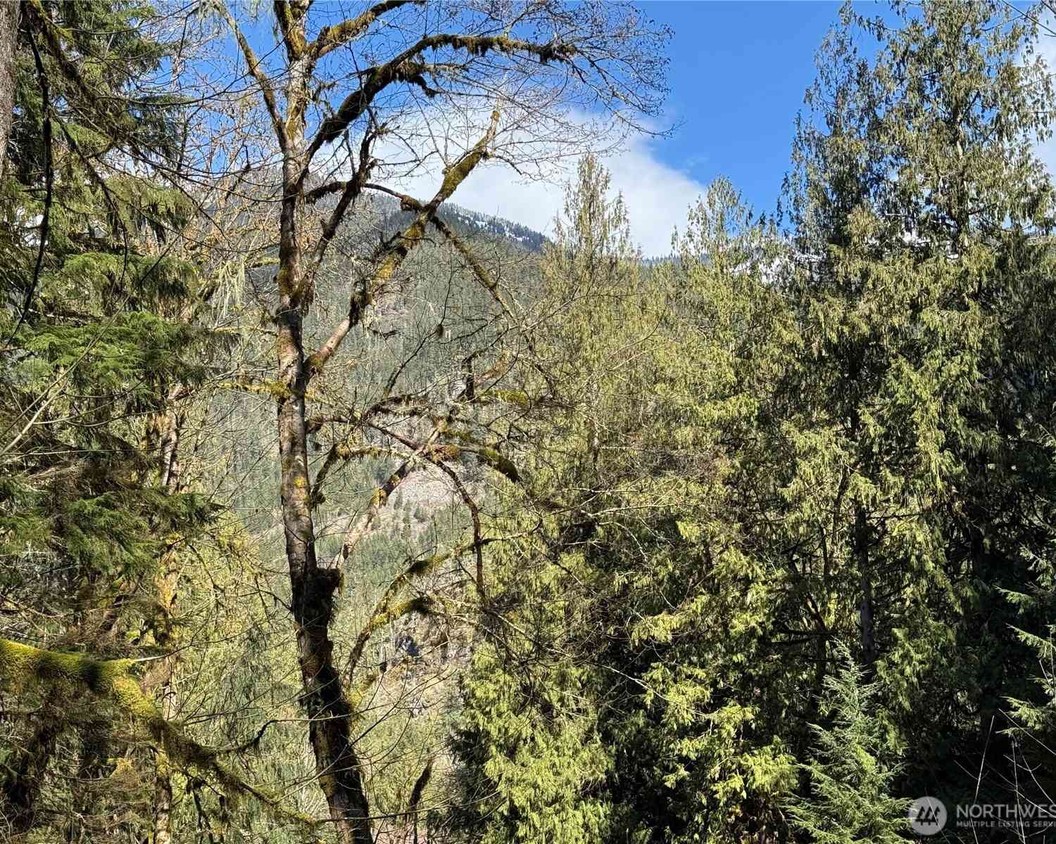 Vacant Land For Sale - High Ridge Drive<br/> Marblemount, WA 98267