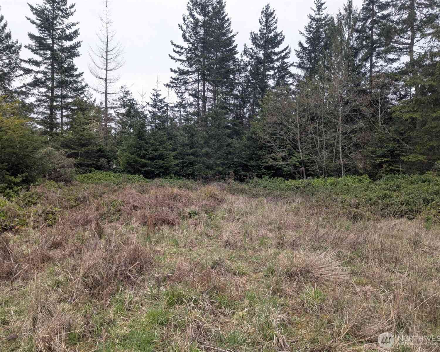 Vacant Land For Sale - Critter Country Trail<br/> Sequim, WA 98382
