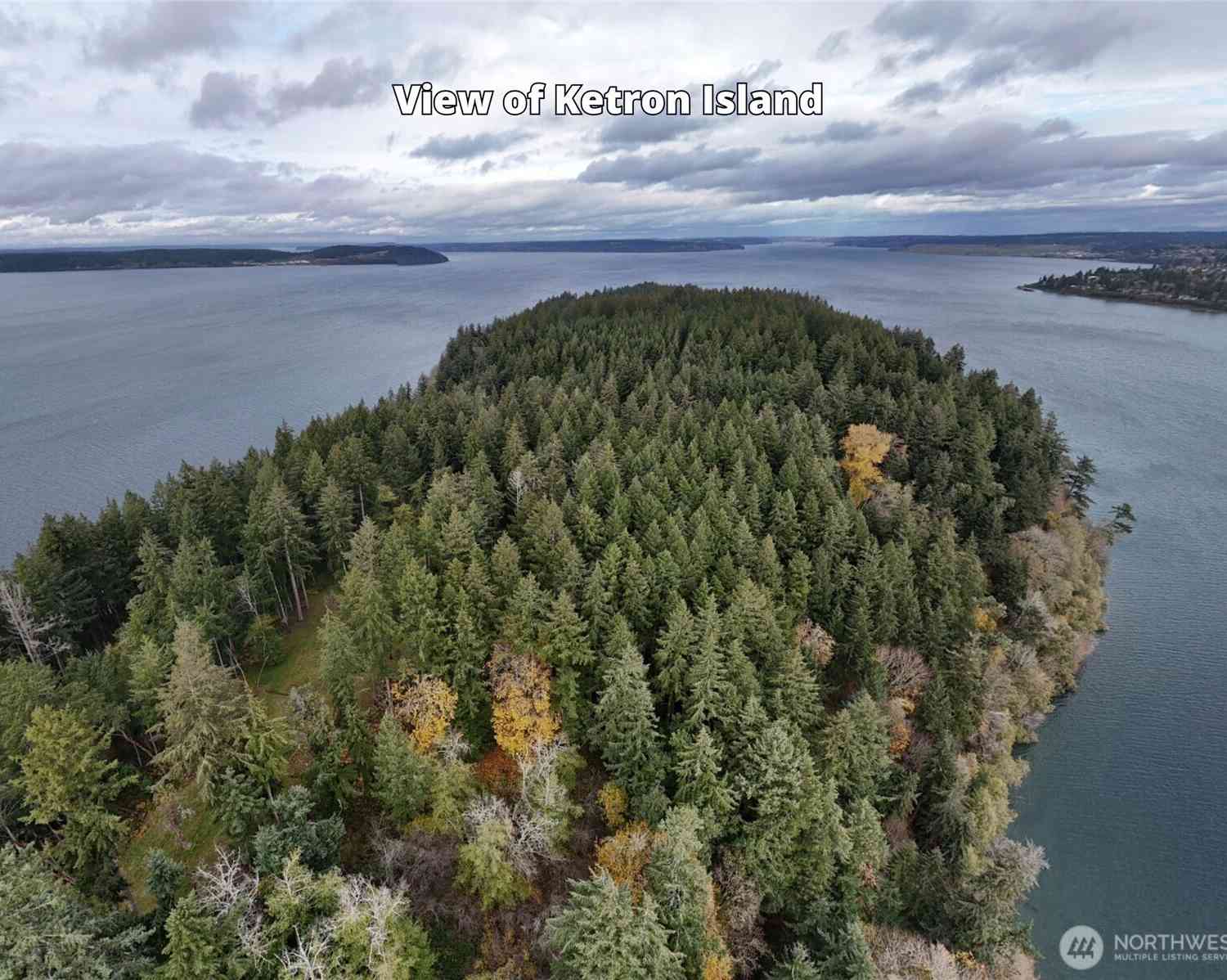 Vacant Land For Sale - 10909 W Morris Boulevard<br/> Steilacoom, WA 98388