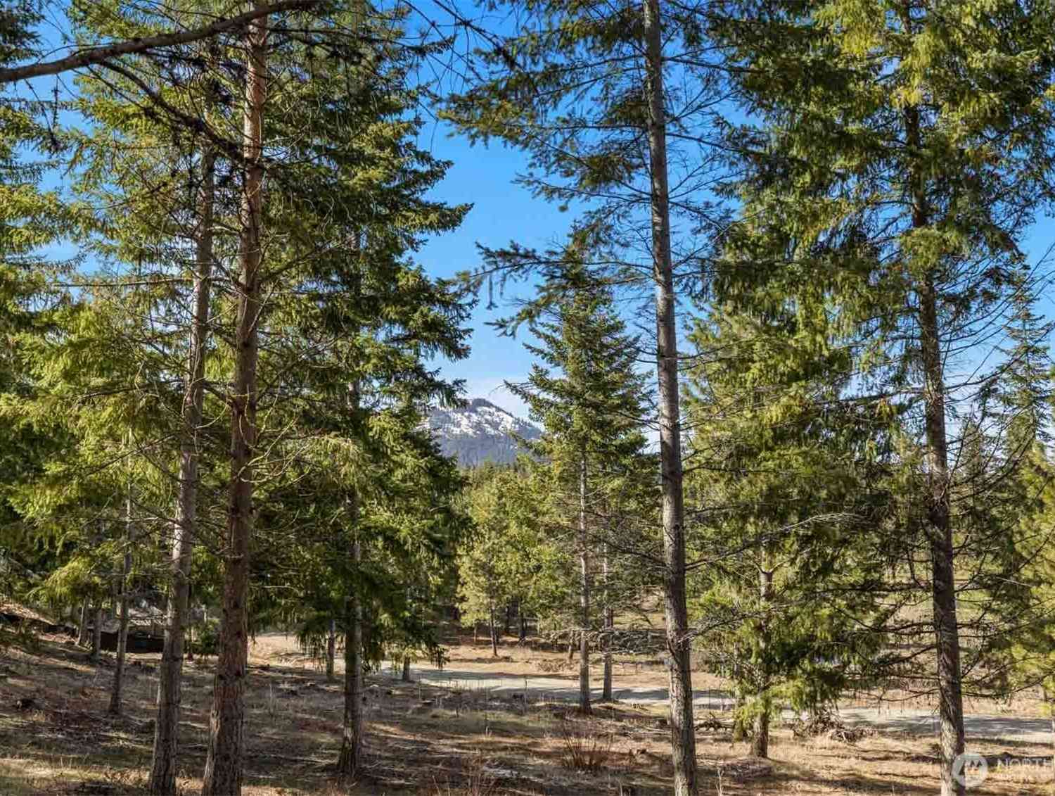 Vacant Land For Sale - 64 Liberty Bell Lane<br/> Kittitas County, Cle Elum, WA 98922