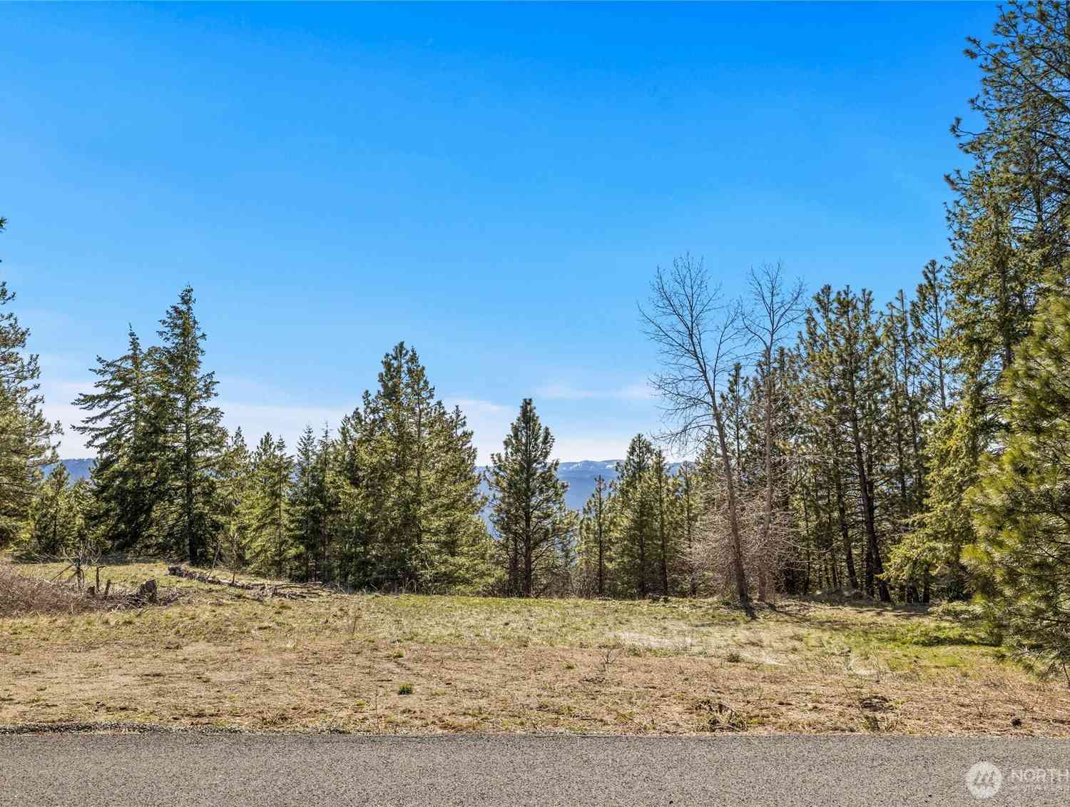 Vacant Land For Sale - 80 Forest Ridge (lot 80) Drive<br/> Kittitas County, Cle Elum, WA 98922
