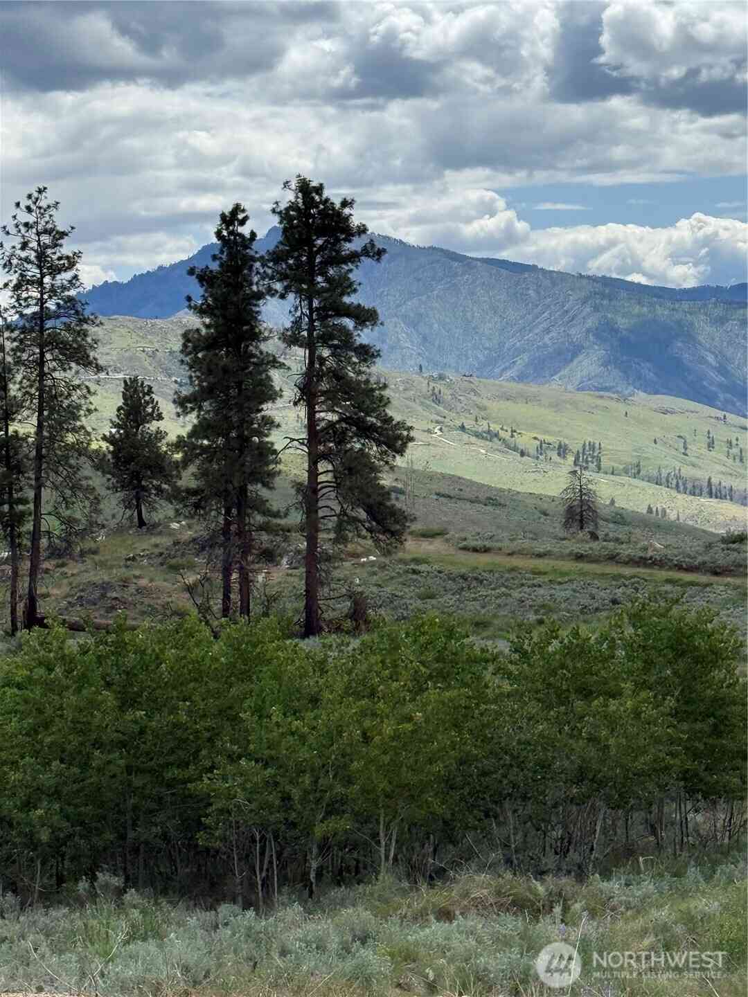 Vacant Land For Sale - 3 Ruttin Ridge Road<br/> Methow, WA 98834