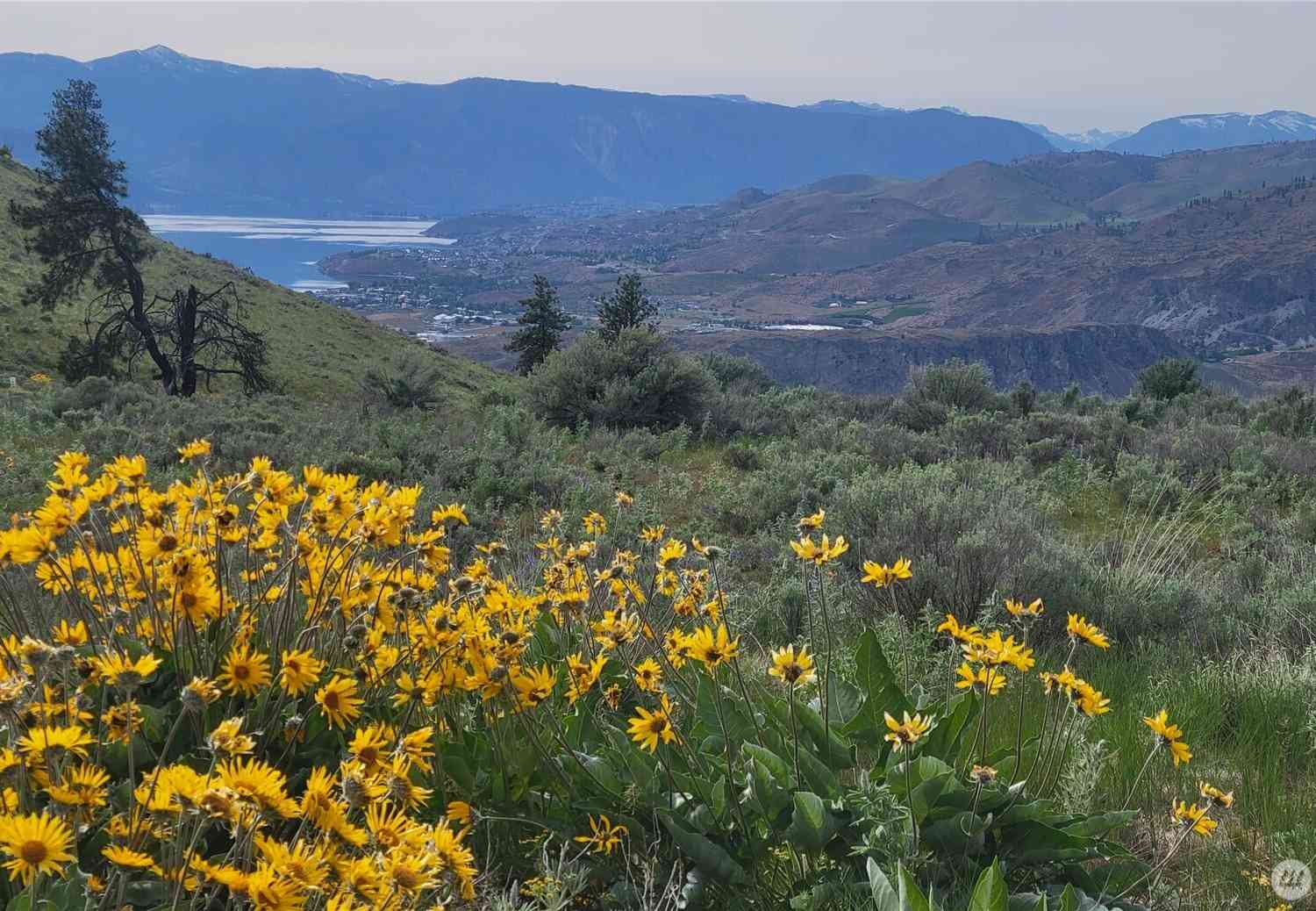 Vacant Land For Sale - Coyote's Curve Road<br/> Orondo, WA 98843
