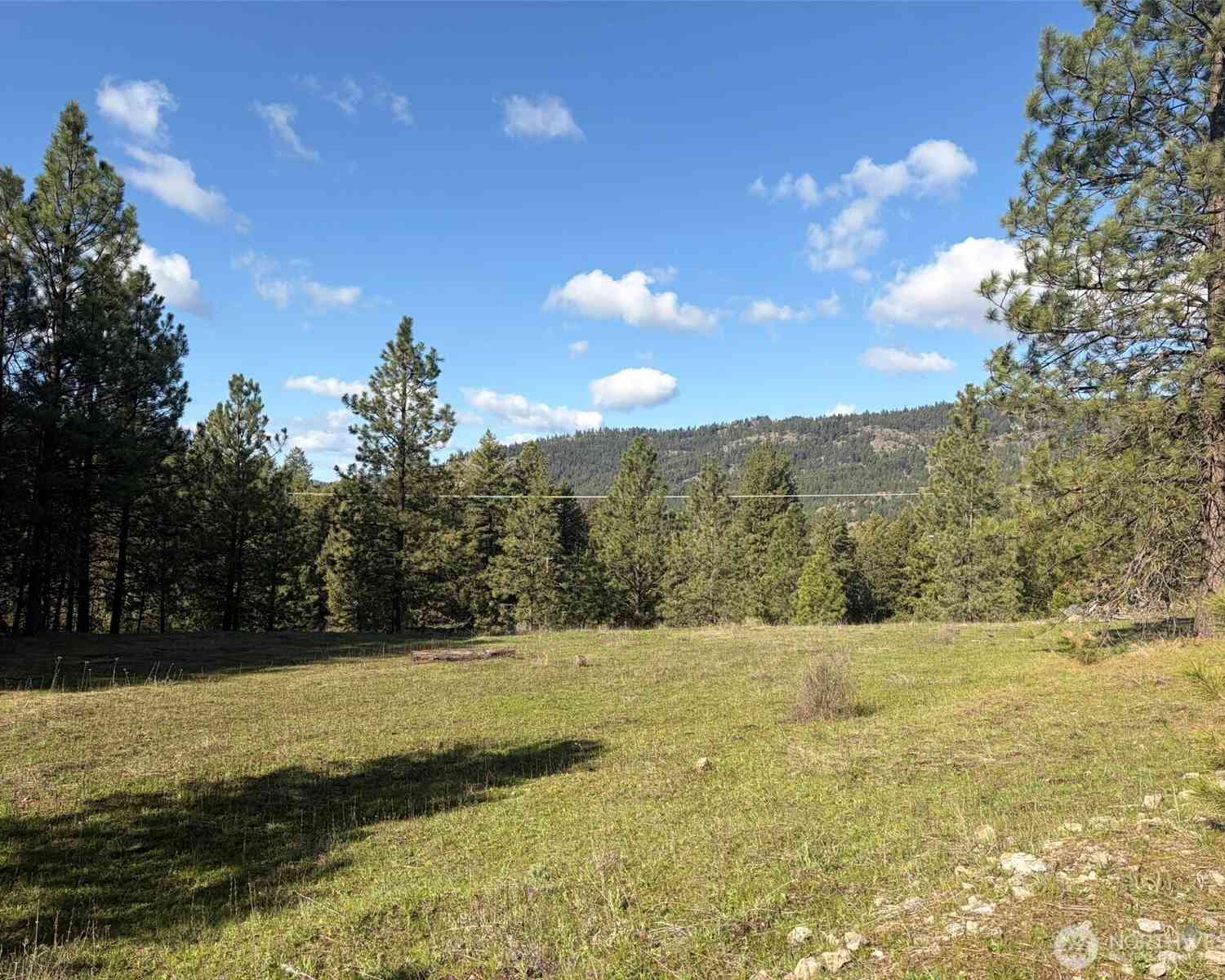 Vacant Land For Sale - 111 TBD Fish Hatchery Road<br/> Republic, WA 99166