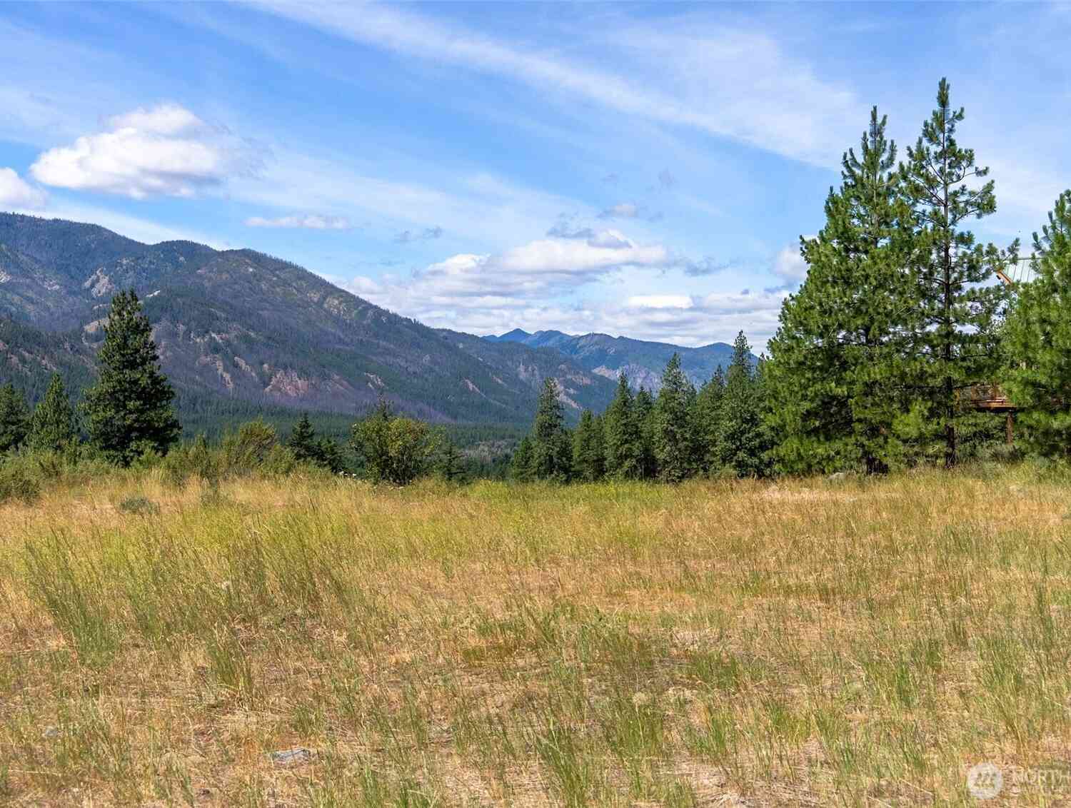 Vacant Land For Sale - 58 Homestead Road<br/> Winthrop, WA 98862