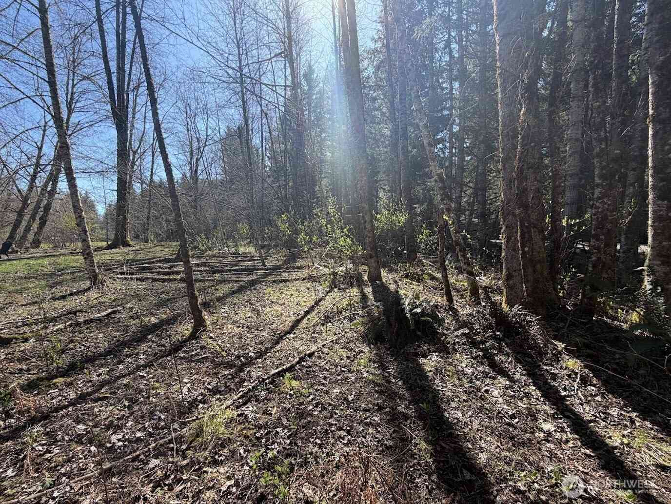 Vacant Land For Sale - 181 Nisqually Way<br/> Ashford, WA 98304
