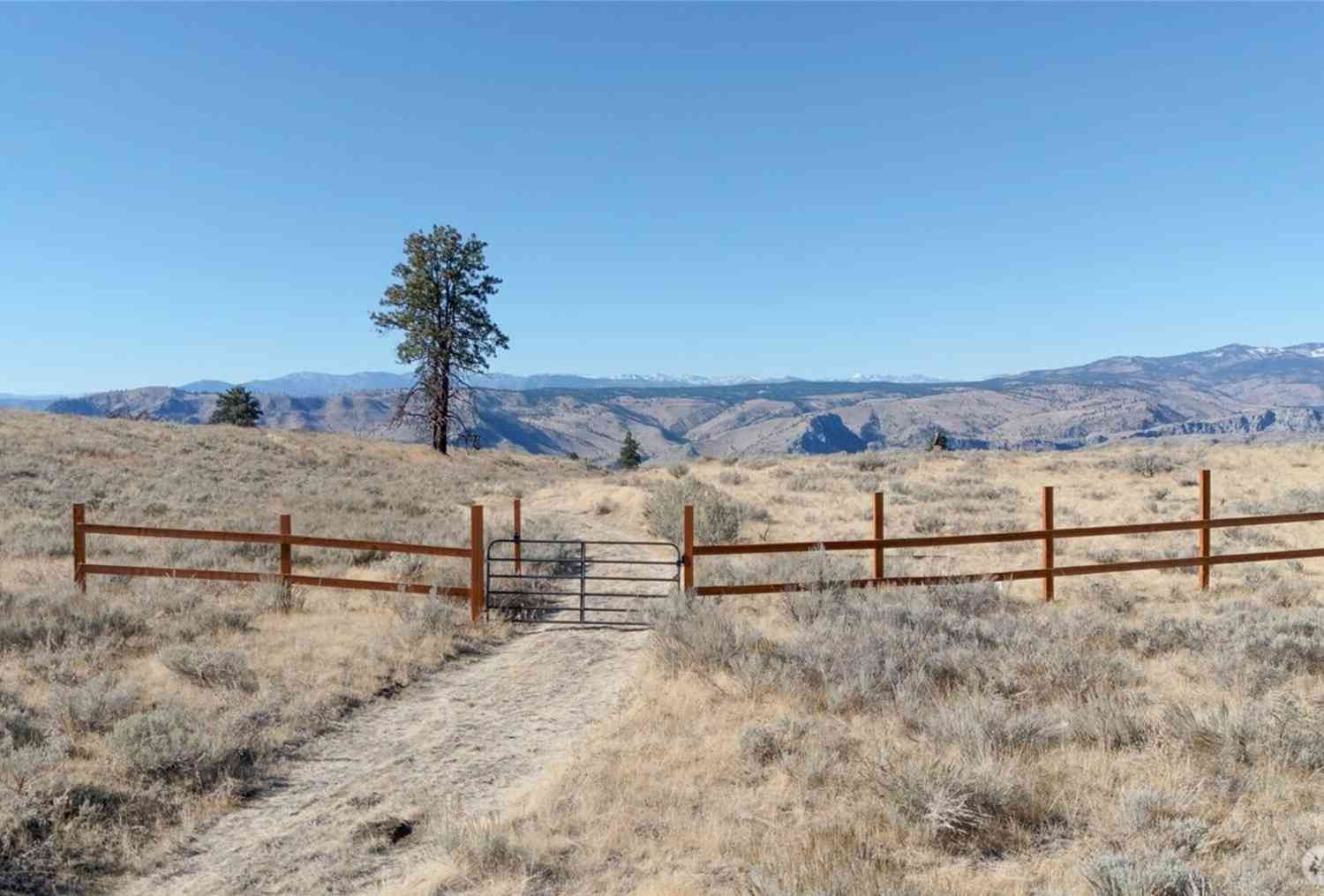 Vacant Land For Sale - 54 Wolf Holler Road<br/> Waterville, WA 98858