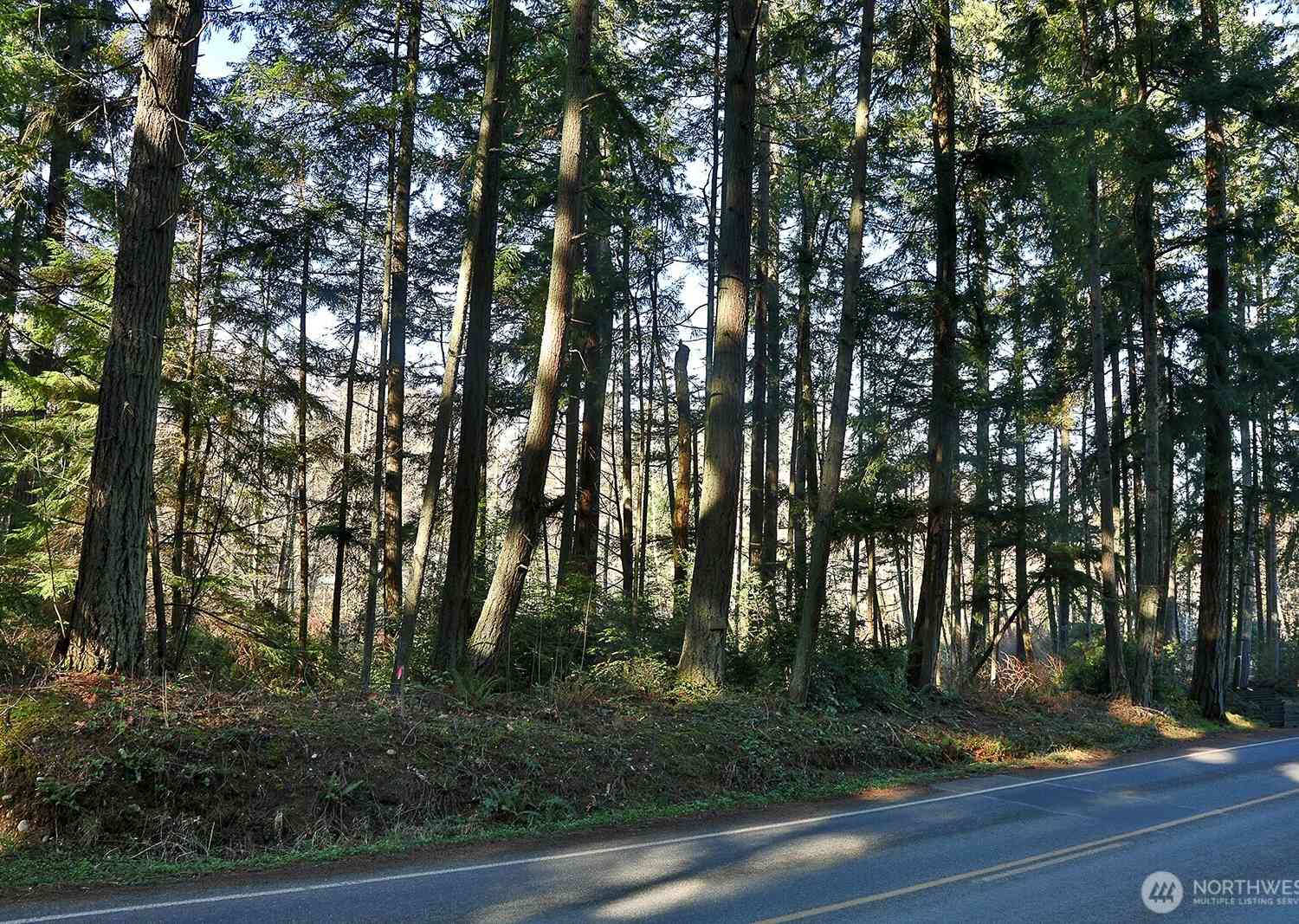Vacant Land For Sale - 6880 Holst Road<br/> Clinton, WA 98236