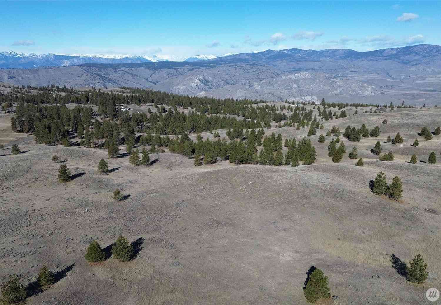Vacant Land For Sale - Columbia River Bluffs Road<br/> Waterville, WA 98858