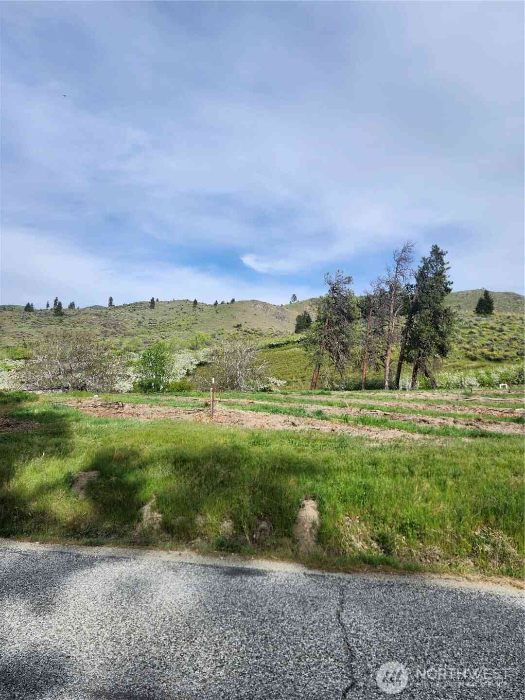 Vacant Land For Sale - 720 Lower Joe Creek Road<br/> Manson, WA 98831