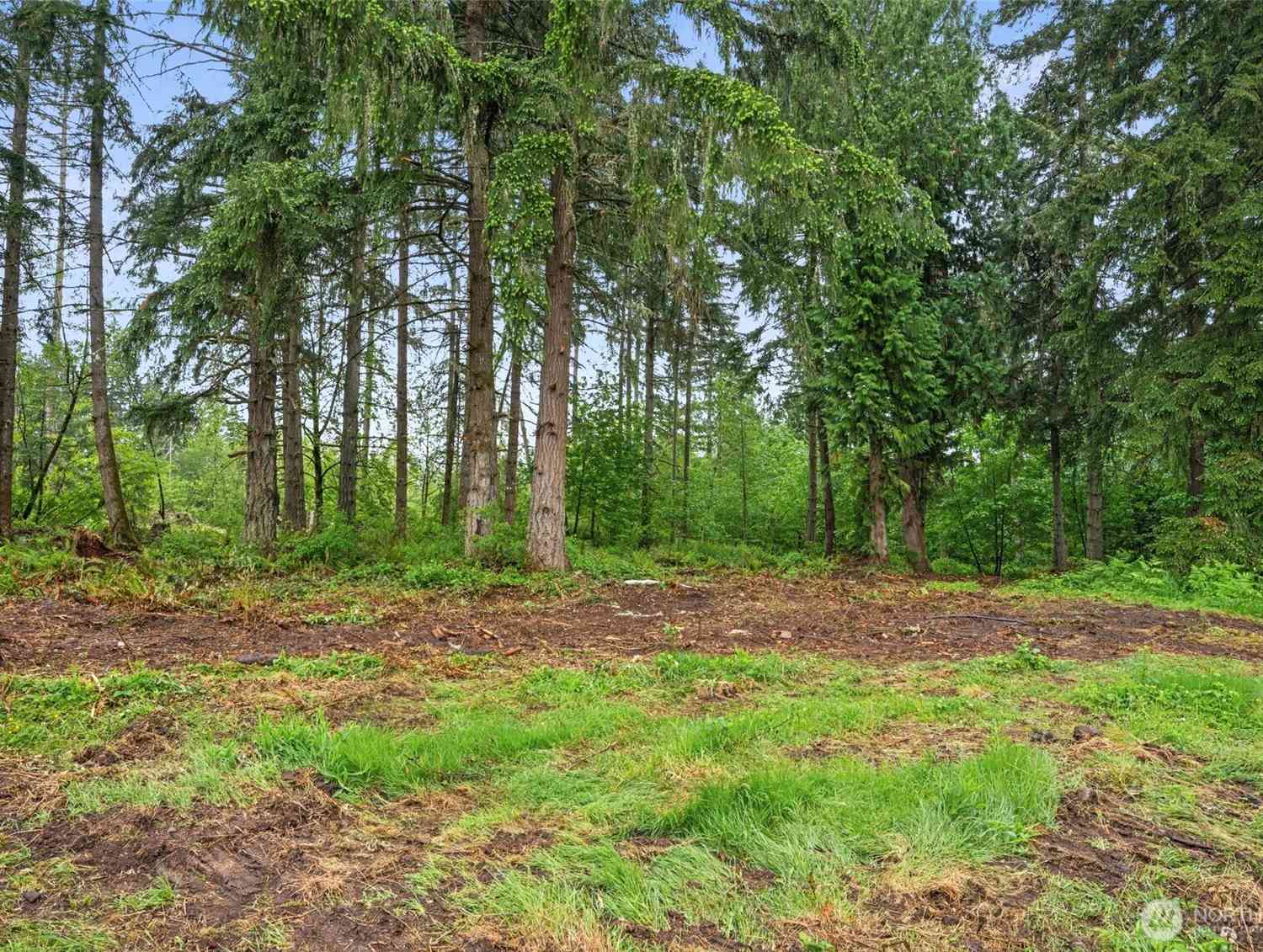 Vacant Land For Sale - 922 322nd Street Ct<br/> Roy, WA 98580