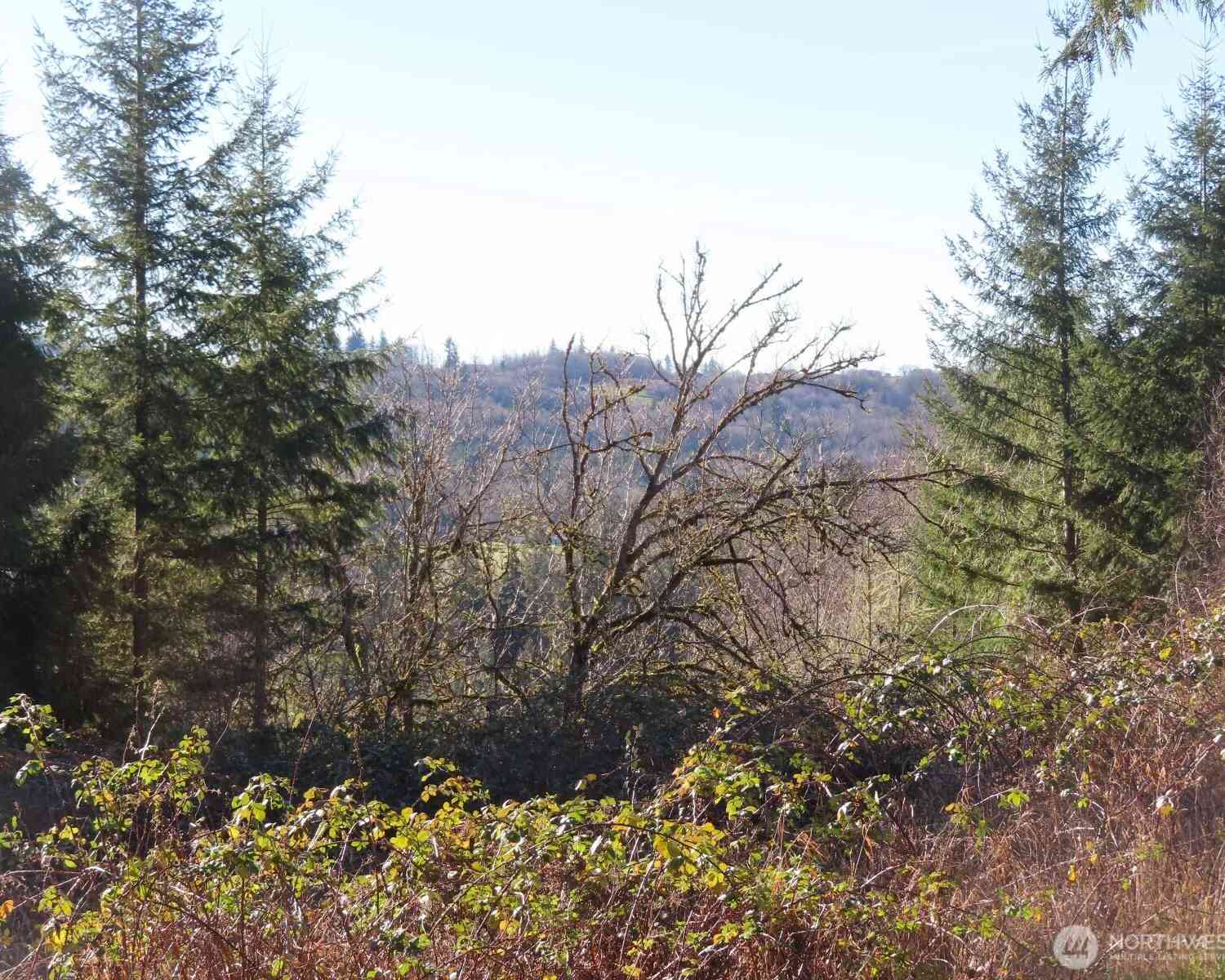 Vacant Land For Sale - 0 XXX Larson Road<br/> Mossyrock, WA 98564