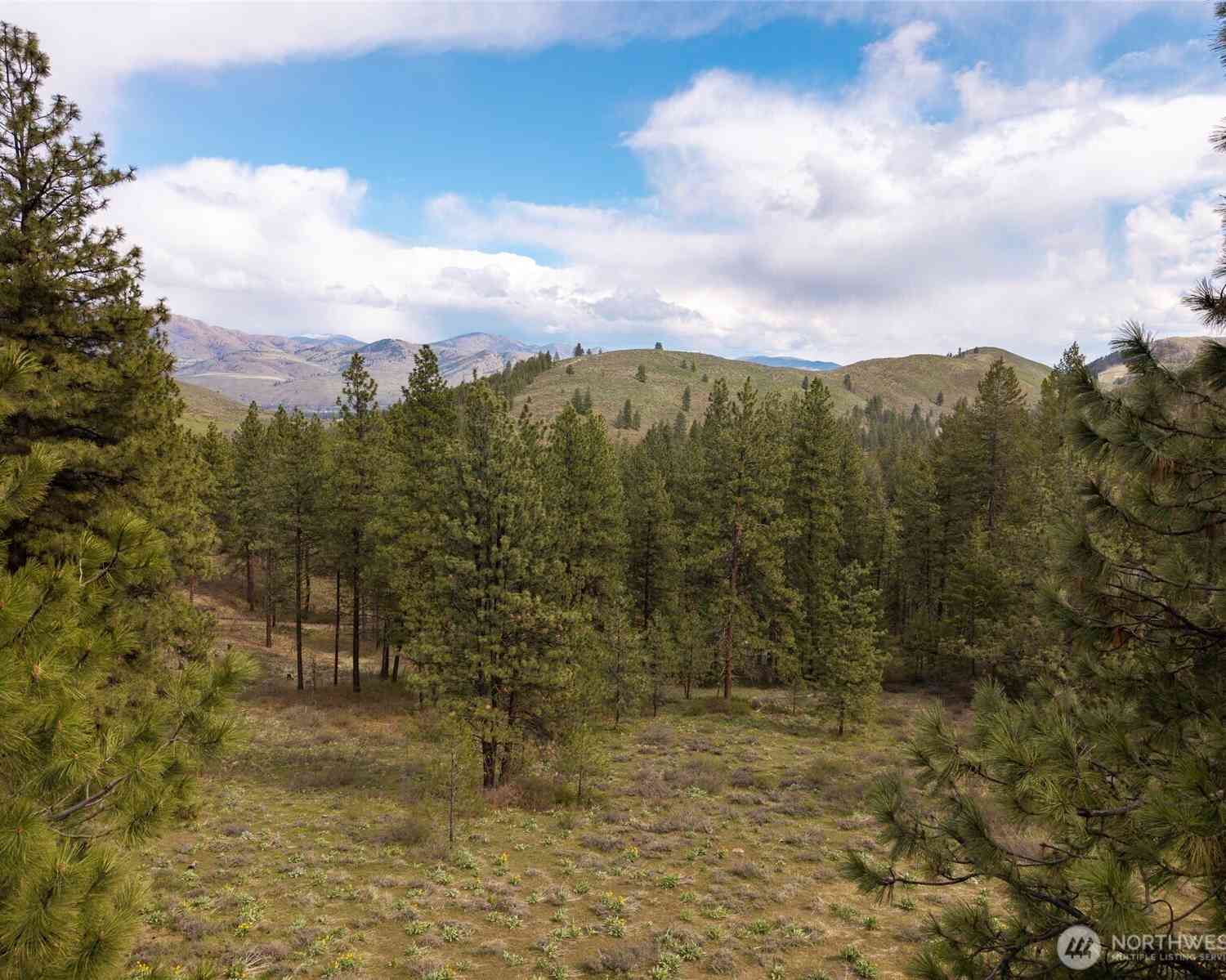 Vacant Land For Sale - 9 Whitebark Lane<br/> Winthrop, WA 98862