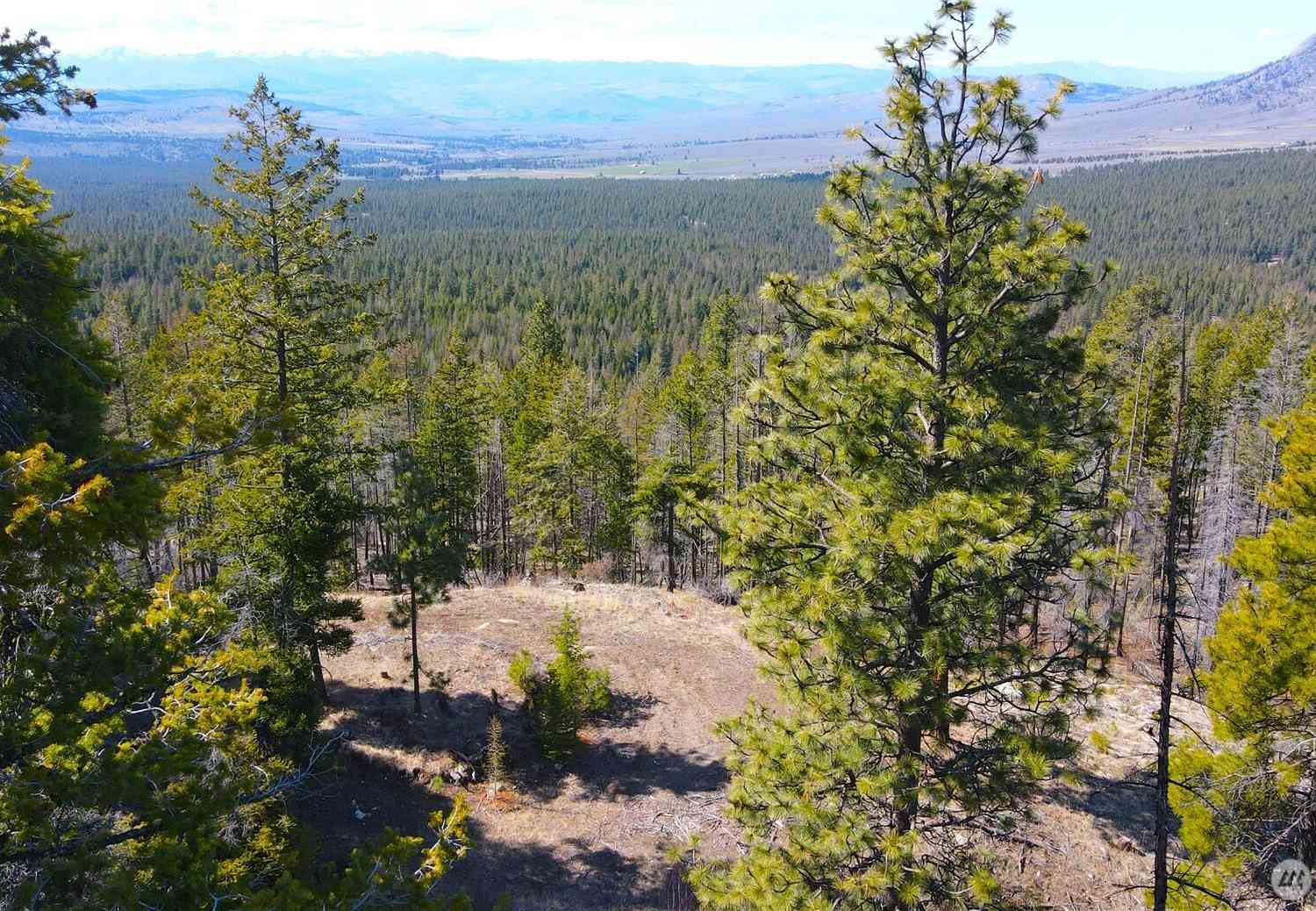 Vacant Land For Sale - 32 1 Twin Creeks Ranch<br/> Riverside, WA 98849