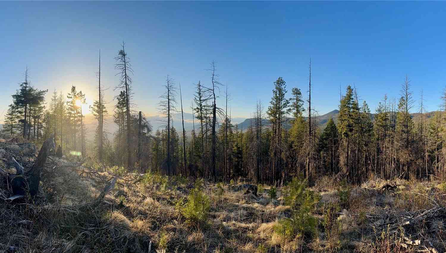 Vacant Land For Sale - 213 Crawfish Vista<br/> Riverside, WA 98849