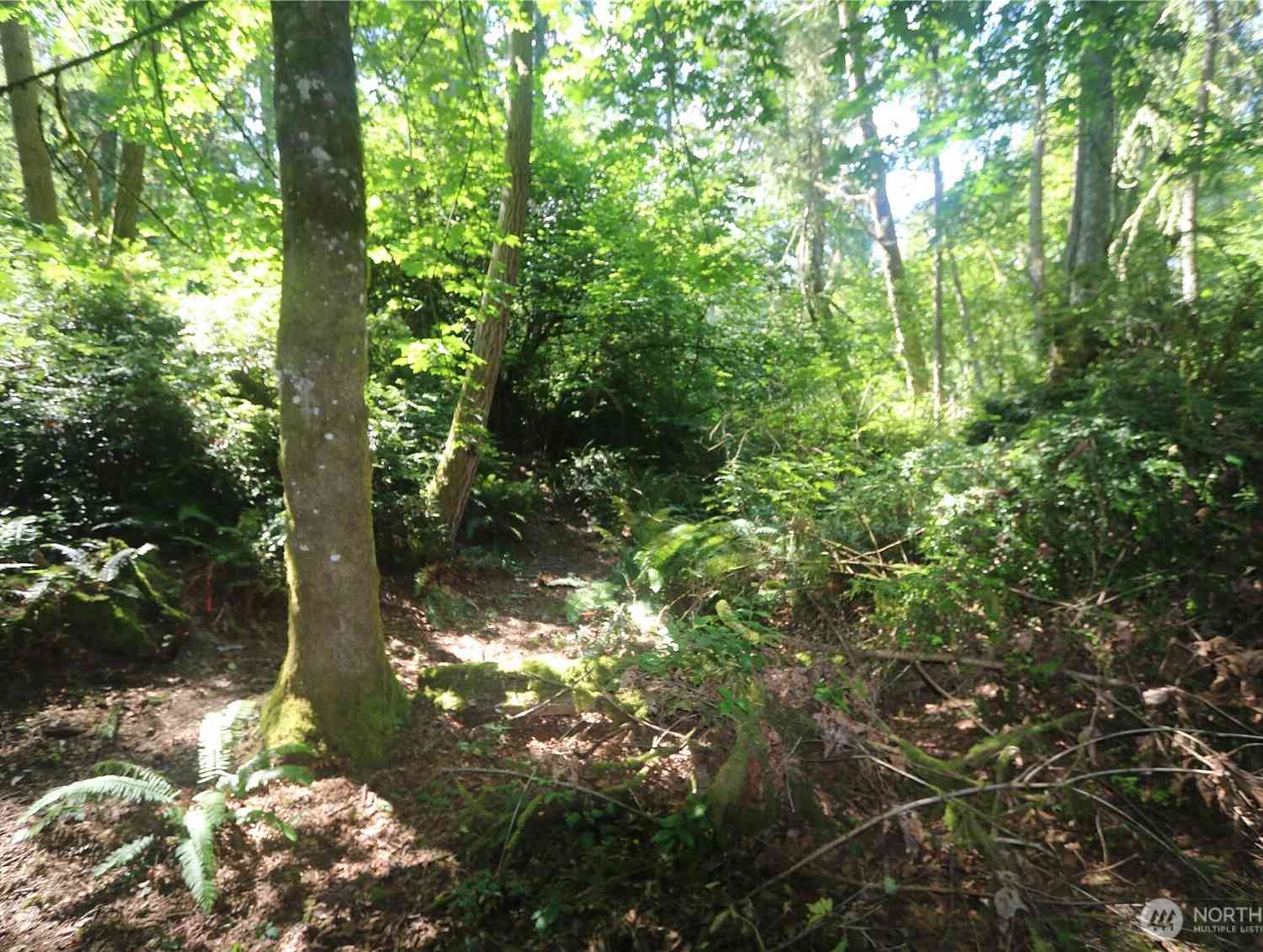 Vacant Land For Sale - 28686 141st Avenue<br/> Vashon, WA 98070