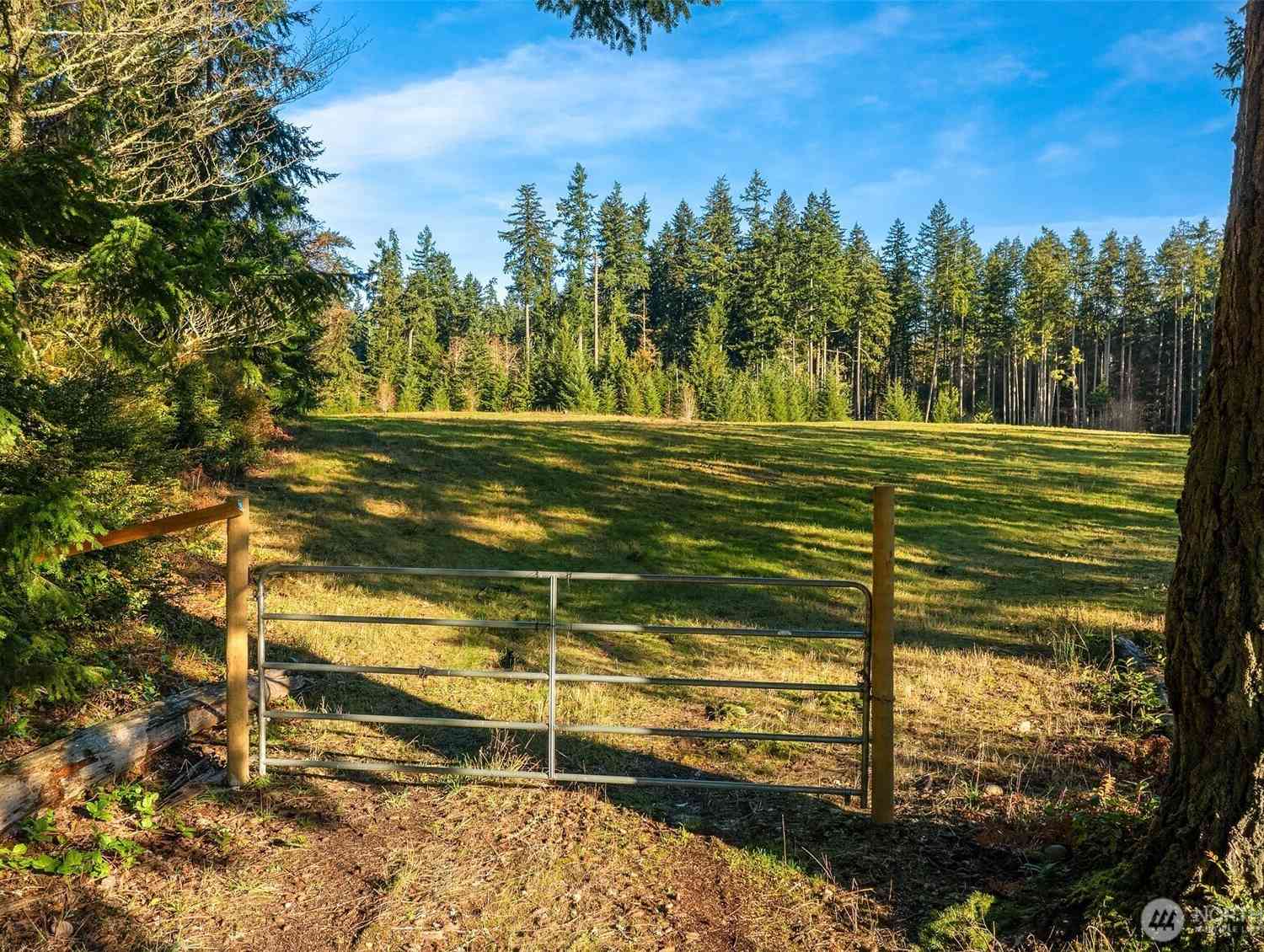 Vacant Land For Sale - 12302 SW 220th Street<br/> Vashon, WA 98070