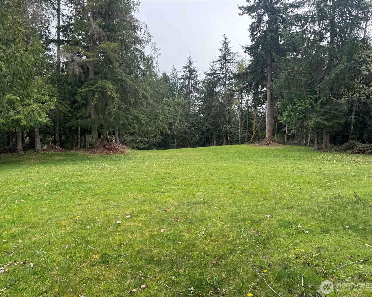Vacant Land For Sale - 163rd Street<br/> Wilkeson, WA 98396