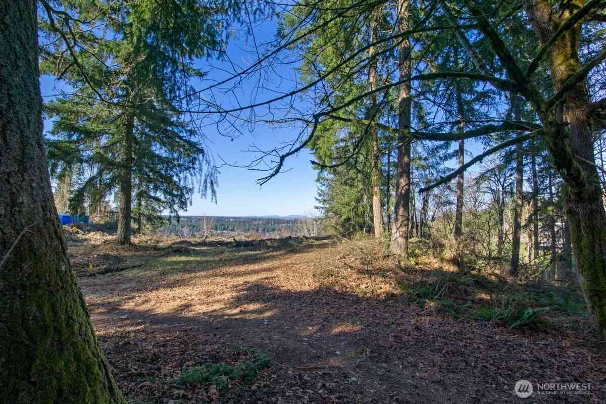 Vacant Land For Sale - 23705 144th Street<br/> Buckley, WA 98360