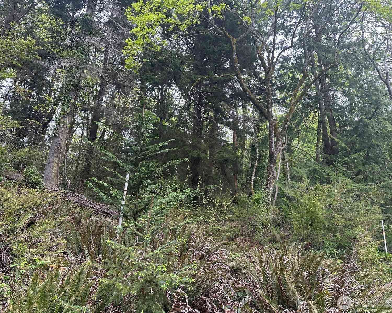 Vacant Land For Sale - 11 NE Shore Drive<br/> Indianola, WA 98342