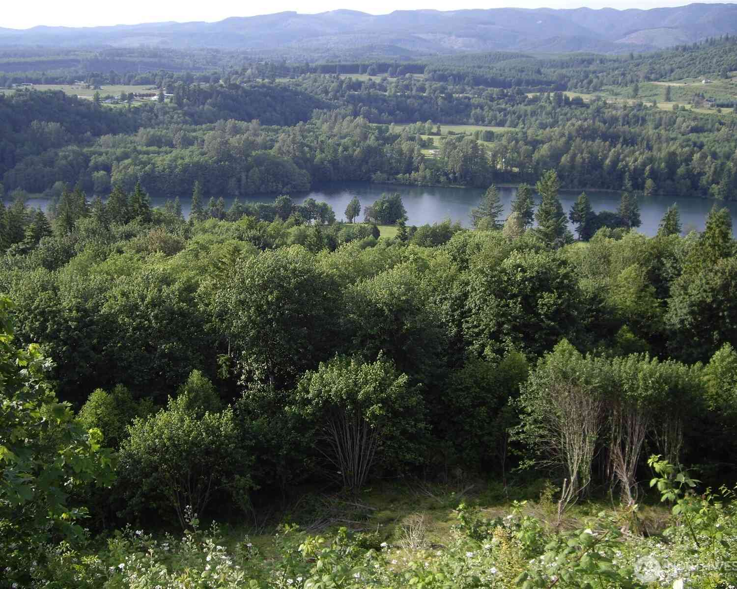 Vacant Land For Sale - 2 Birley Rd<br/> Mossyrock, WA 98564