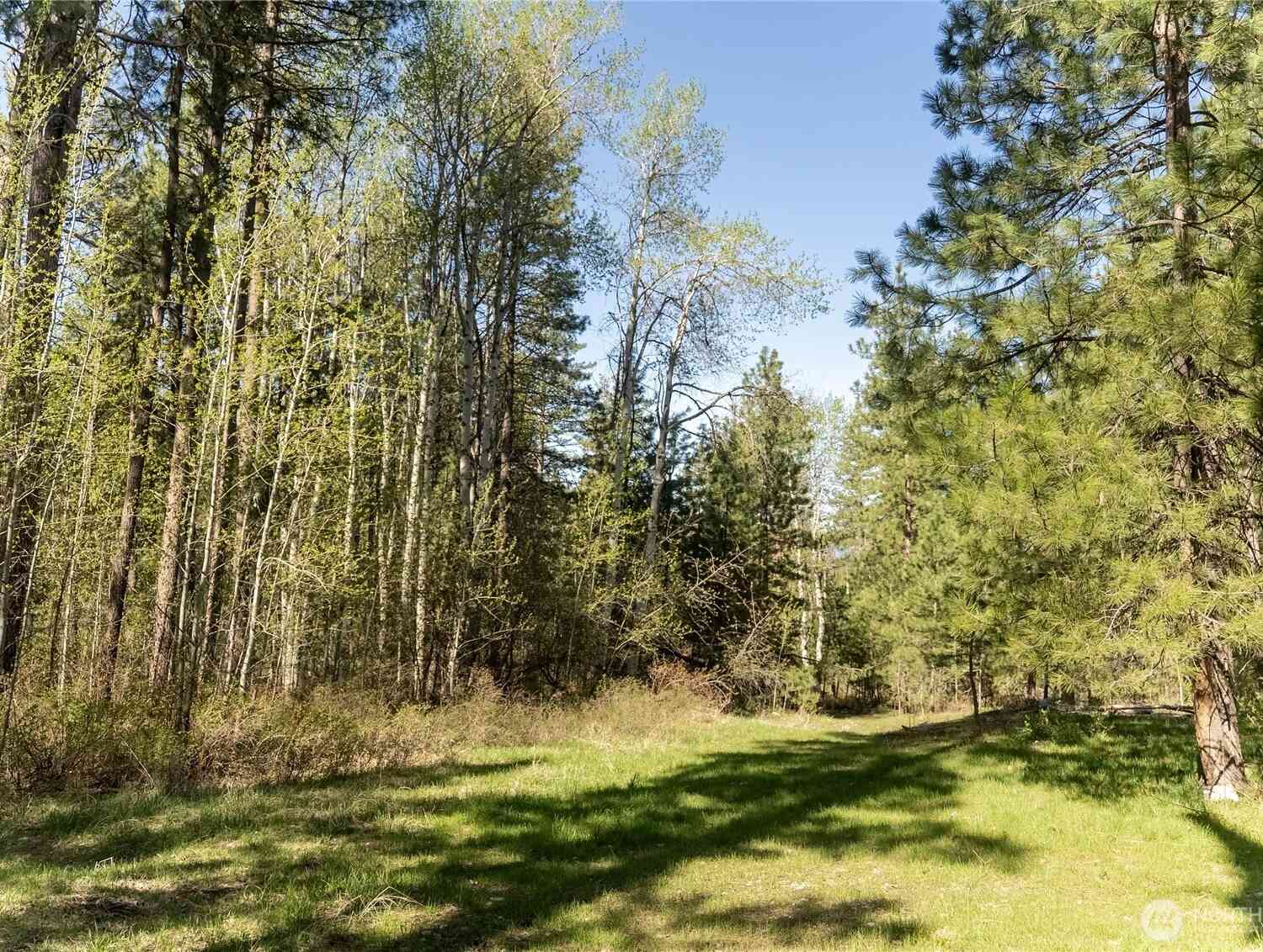 Vacant Land For Sale - 19 Stagecoach Road<br/> Carlton, WA 98814