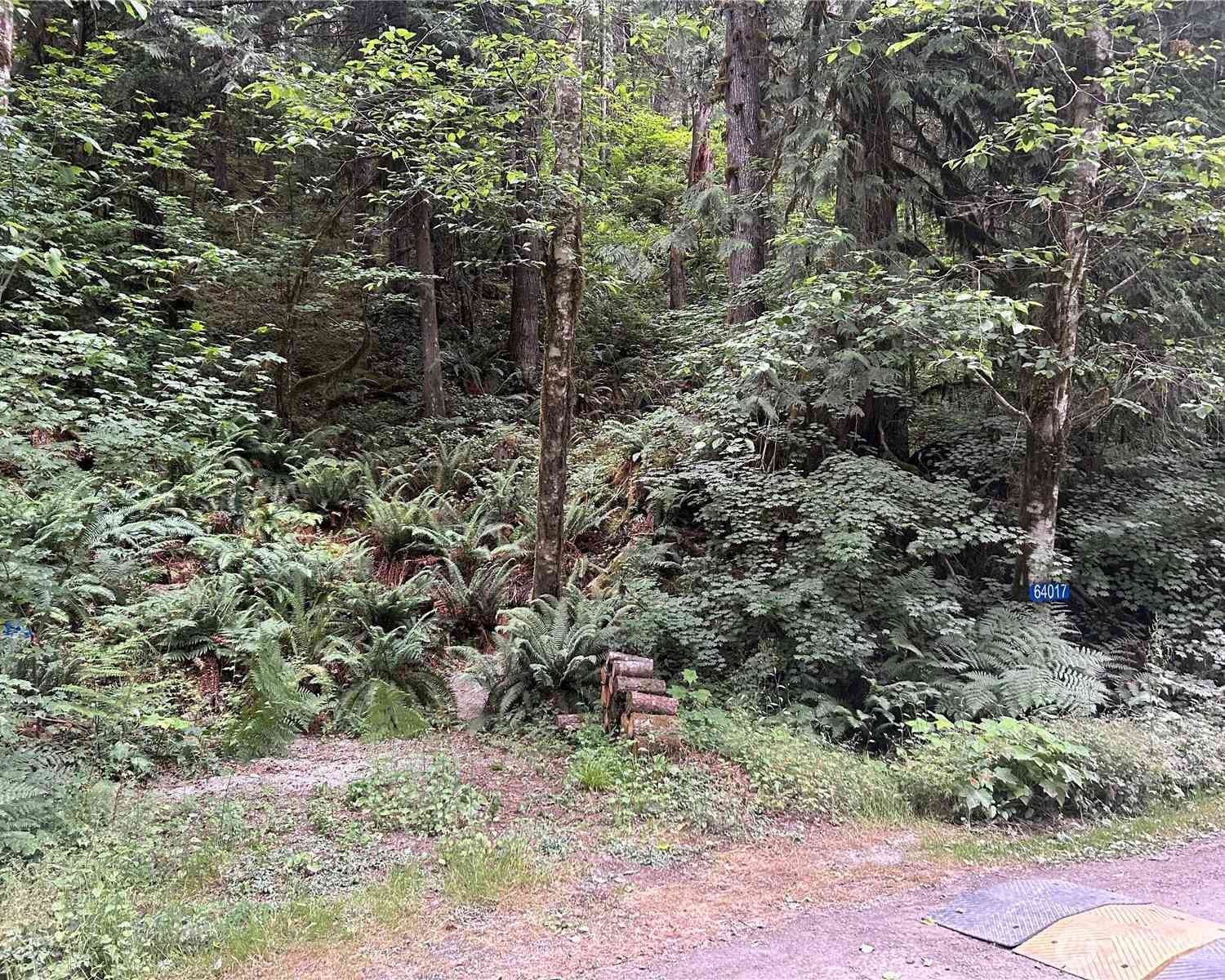 Vacant Land For Sale - 64017 E Cascade Drive<br/> Marblemount, WA 98267