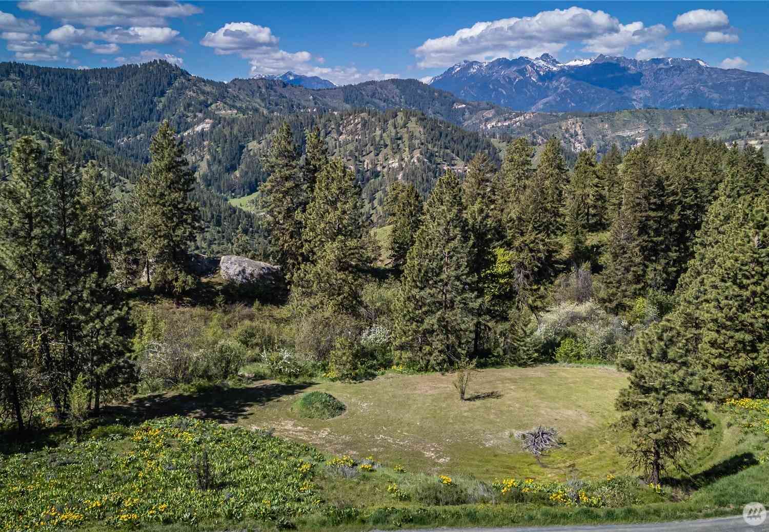 Vacant Land For Sale - Sky Meadows Road<br/> Cashmere, WA 98815