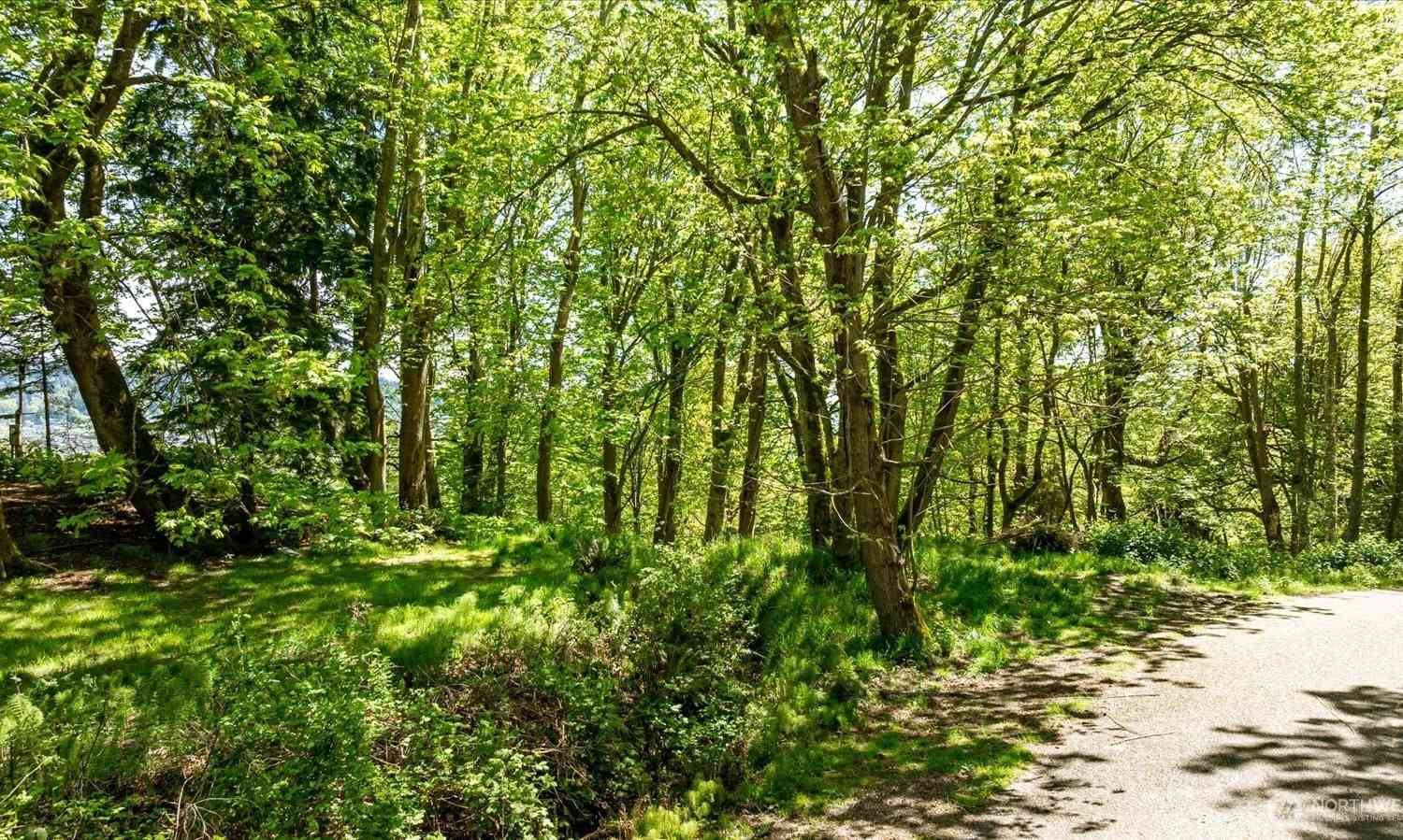 Vacant Land For Sale - 8119 Sand Dollar Lane<br/> Clinton, WA 98236