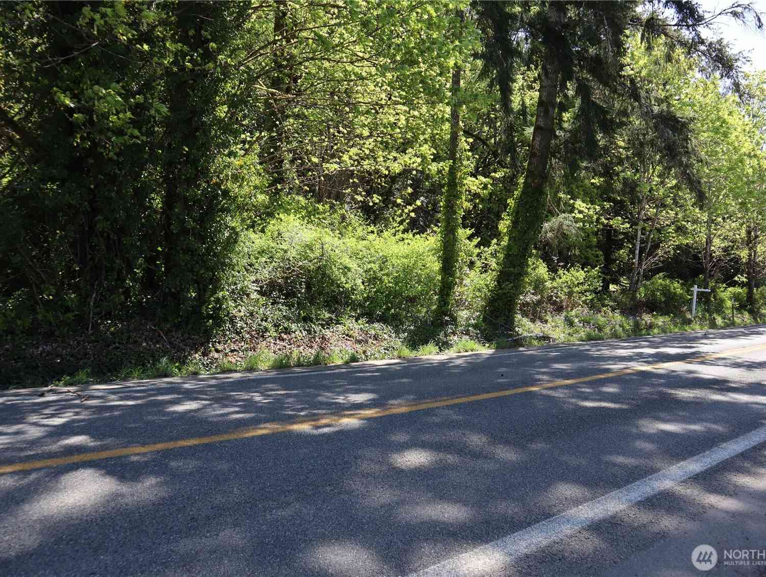 Vacant Land For Sale - 16210 XXX E State Route 106<br/> Belfair, WA 98528