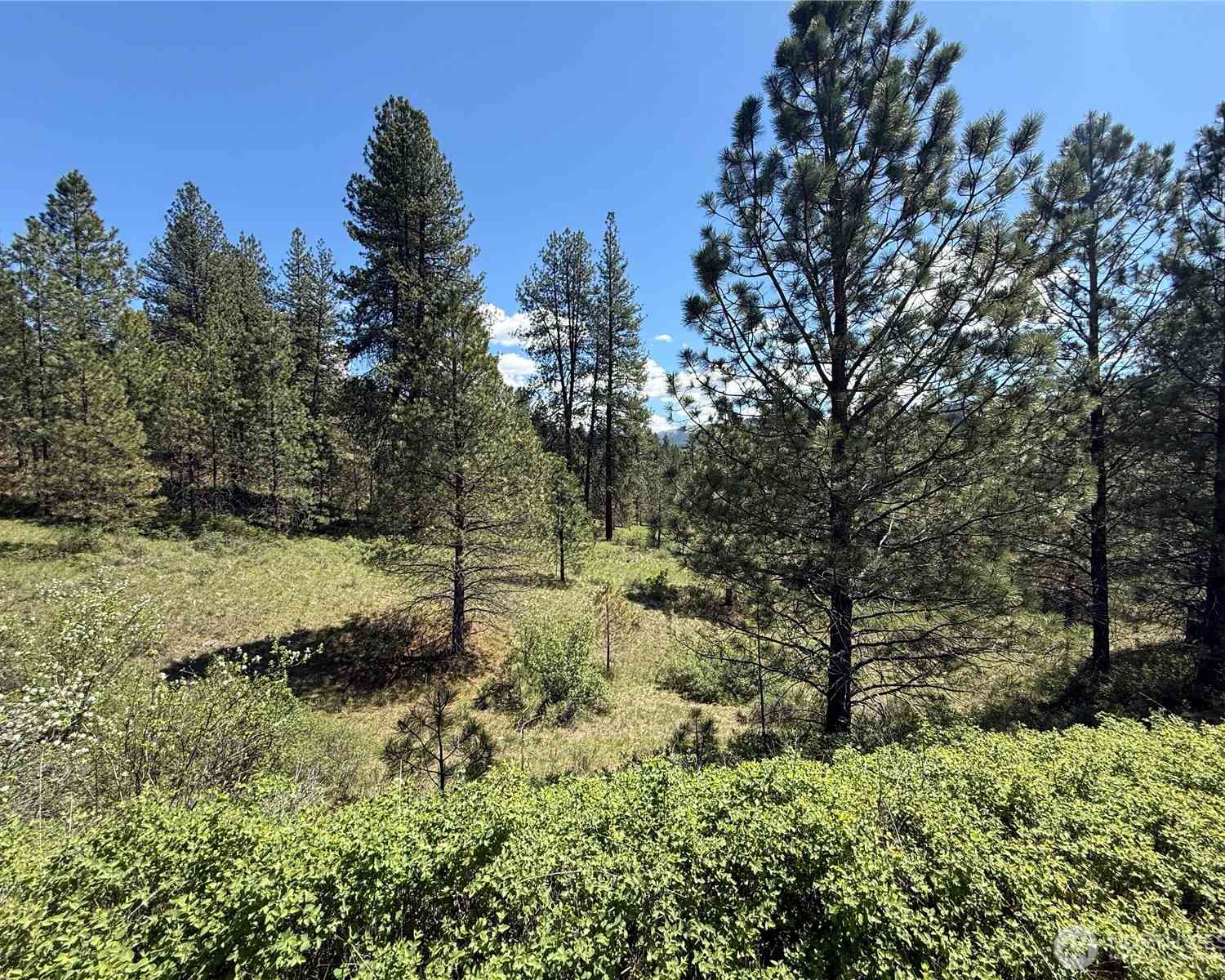 Vacant Land For Sale - 0 TBD Fir Lane<br/> Curlew, WA 99118