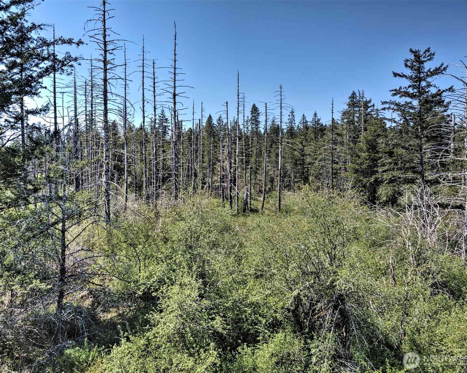 Vacant Land For Sale - 1161 NE Toonerville Drive<br/> Belfair, WA 98528