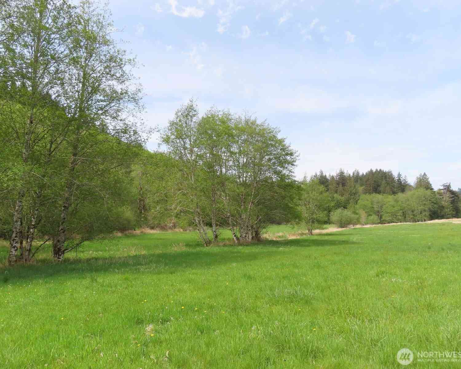 Vacant Land For Sale - 0 XXX Hagen Road<br/> Mossyrock, WA 98645