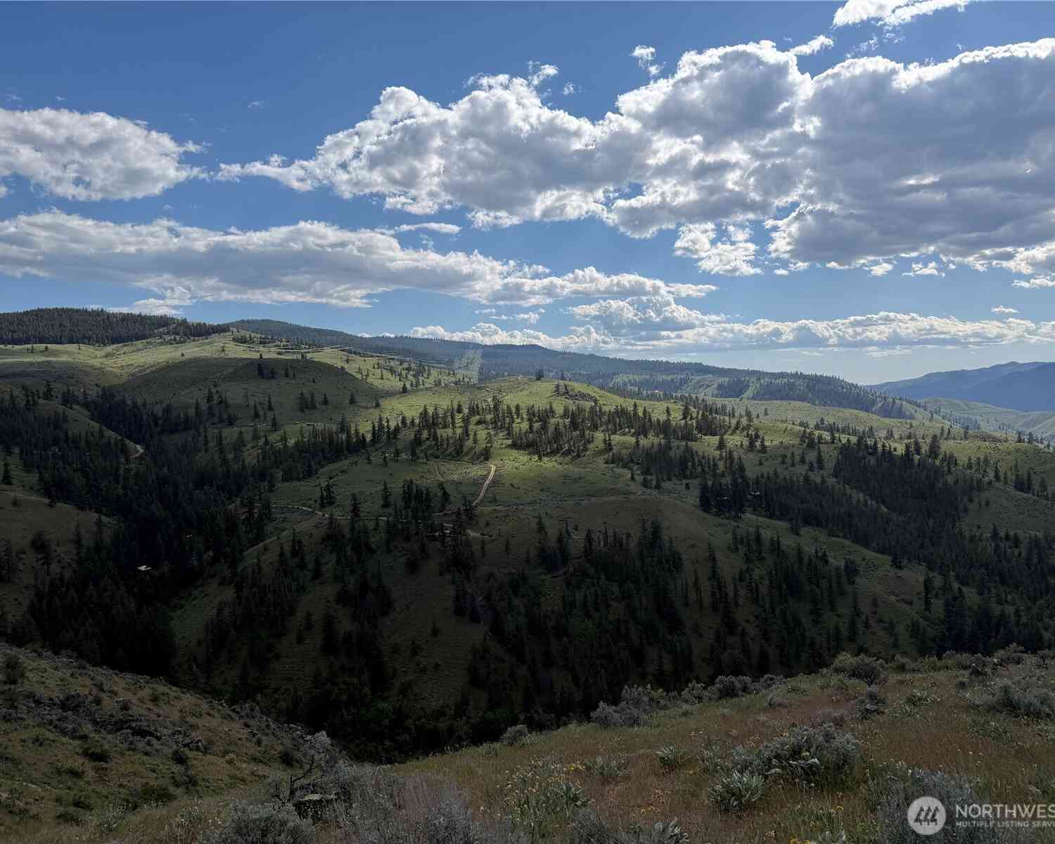 Vacant Land For Sale - Tyee View Loop<br/> Waterville, WA 98858