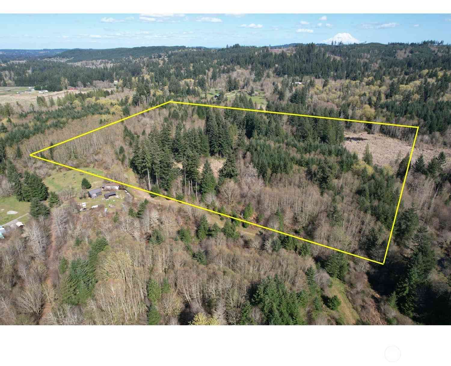 Vacant Land For Sale - 40 Acres 143rd Avenue<br/> Tenino, WA 98589