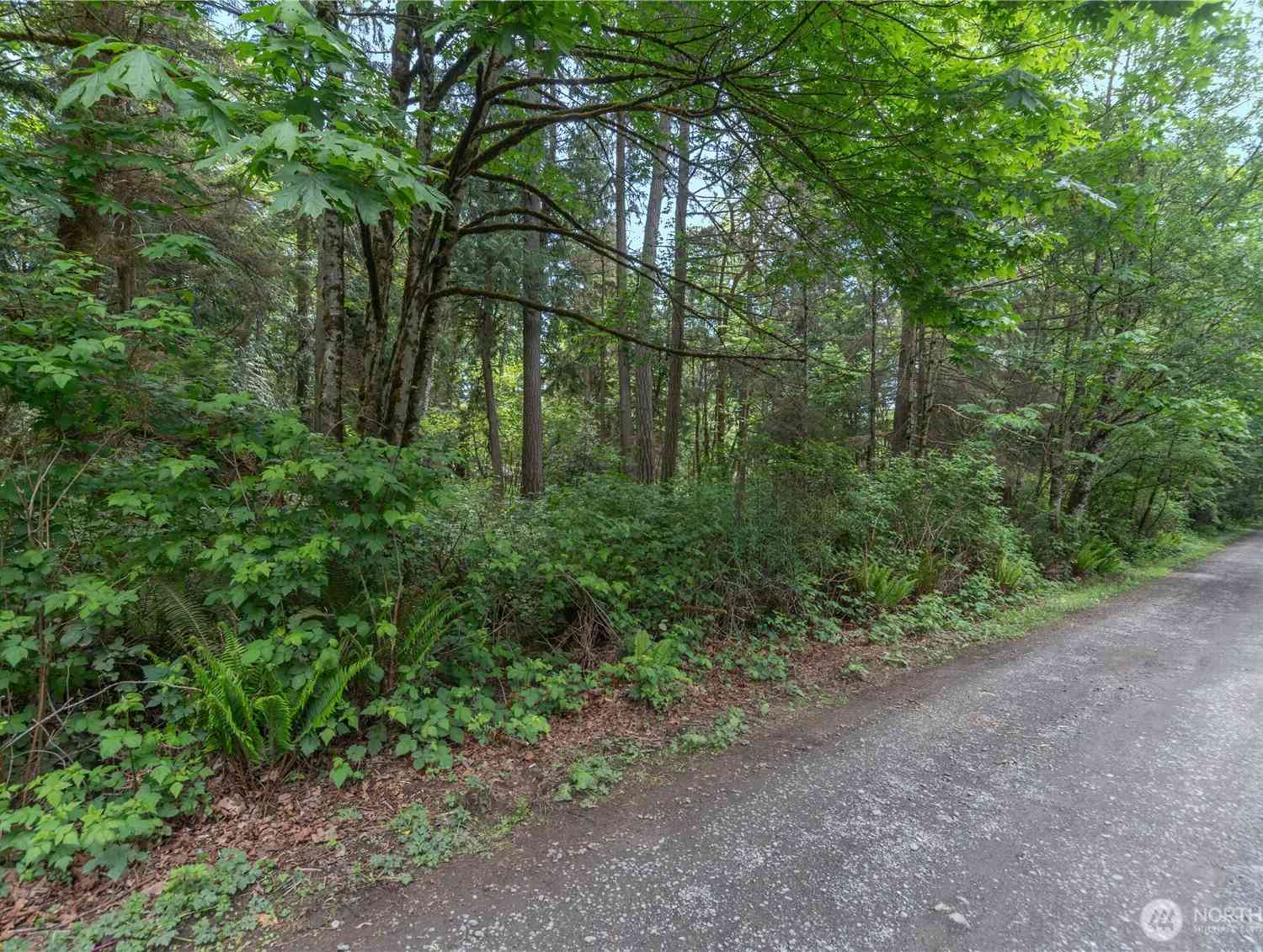 Vacant Land For Sale - 321 Neat Avenue<br/> Kingston, WA 98346