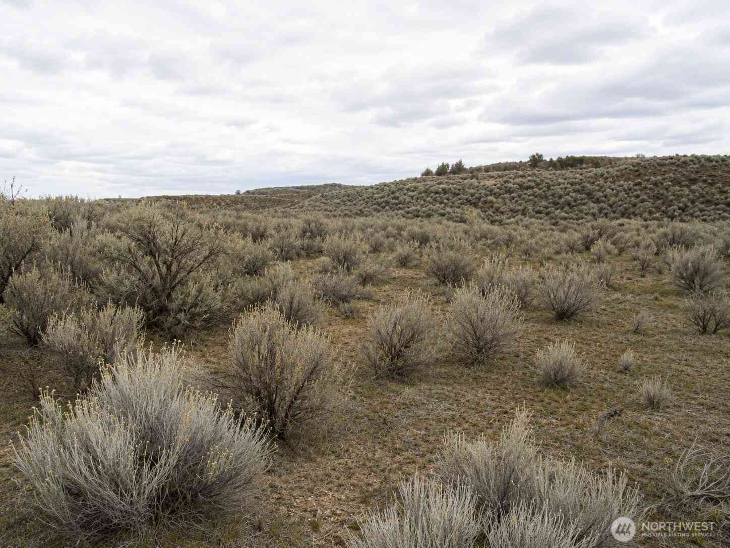Vacant Land For Sale - Lone Butte Court #24<br/> Ephrata, WA 98823