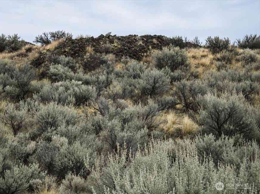 Vacant Land For Sale - 1422 Ballarat Place<br/> Ephrata, WA 98823