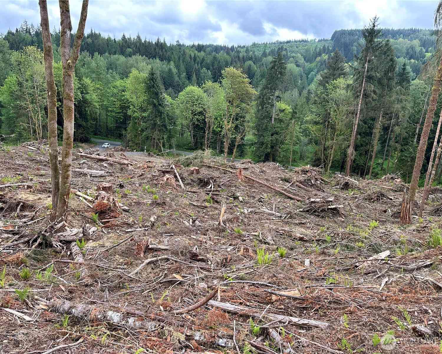 Vacant Land For Sale - S Carpenter Road<br/> Snohomish, WA 98280
