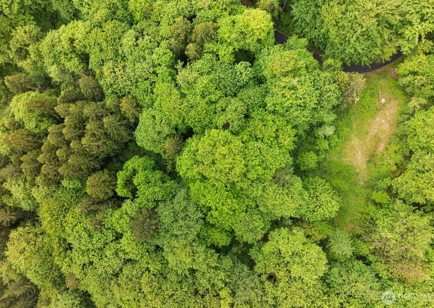 Vacant Land For Sale - 14933 SE 180th Place<br/> Snohomish, WA 98290