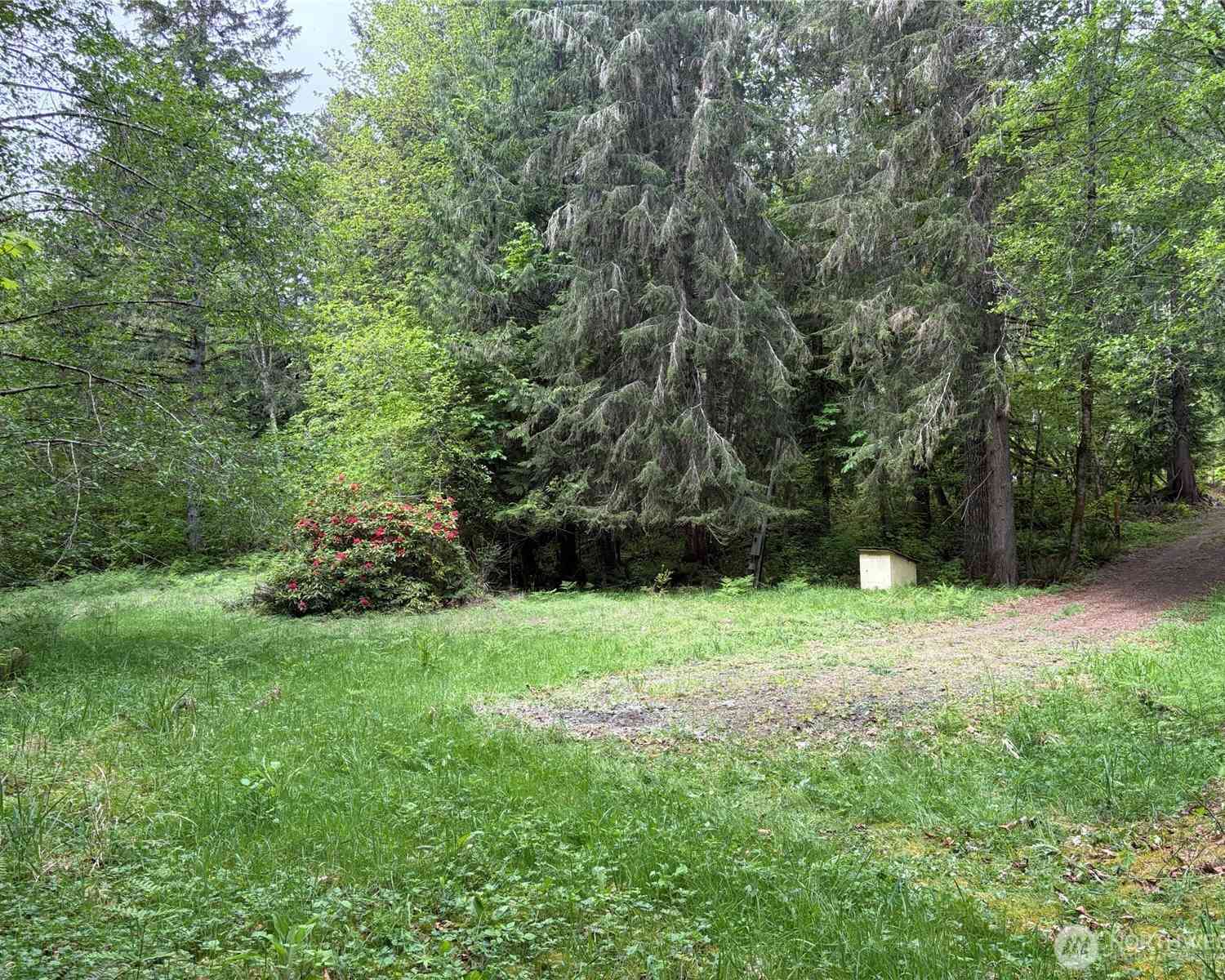 Vacant Land For Sale - 3 XXXX Duckabush Road<br/> Brinnon, WA 98320