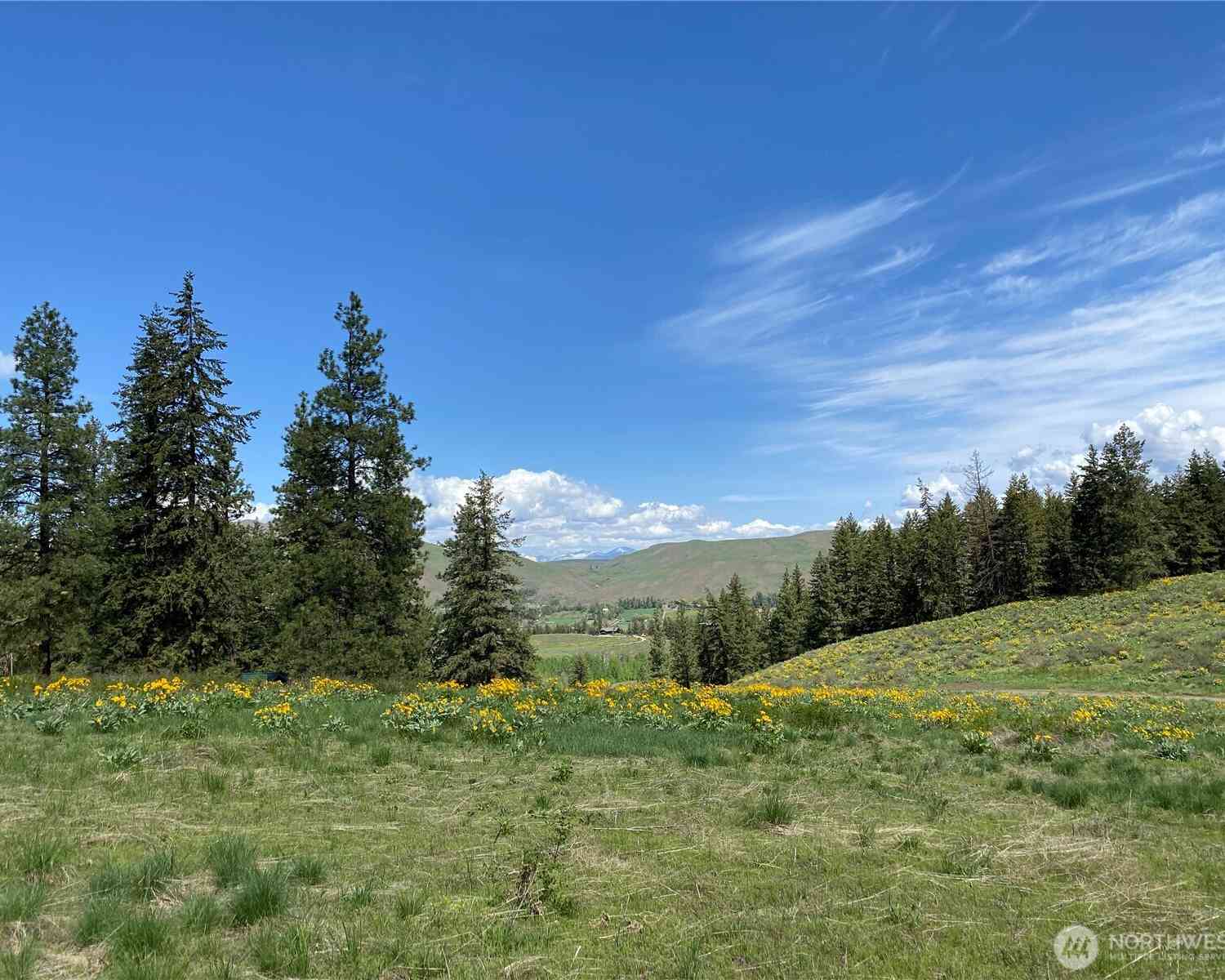 Vacant Land For Sale - 102 Elbow Canyon Road<br/> Twisp, WA 98856
